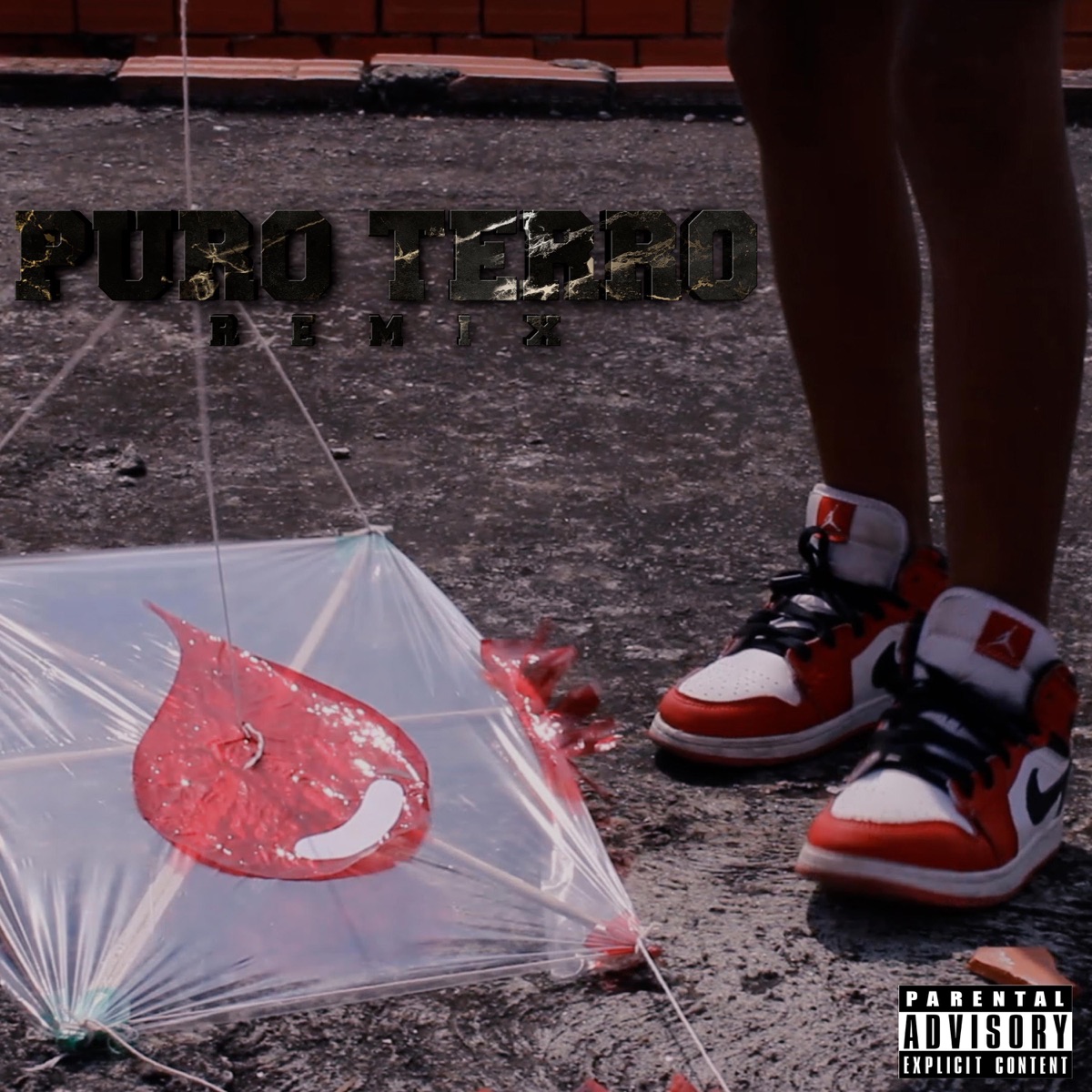Puro Terro (feat. Braun Og Boy, Cainclue ii, Zelcok Kp & Taylor Sc) [REMIX] - Single by Yong Geniuz album cover