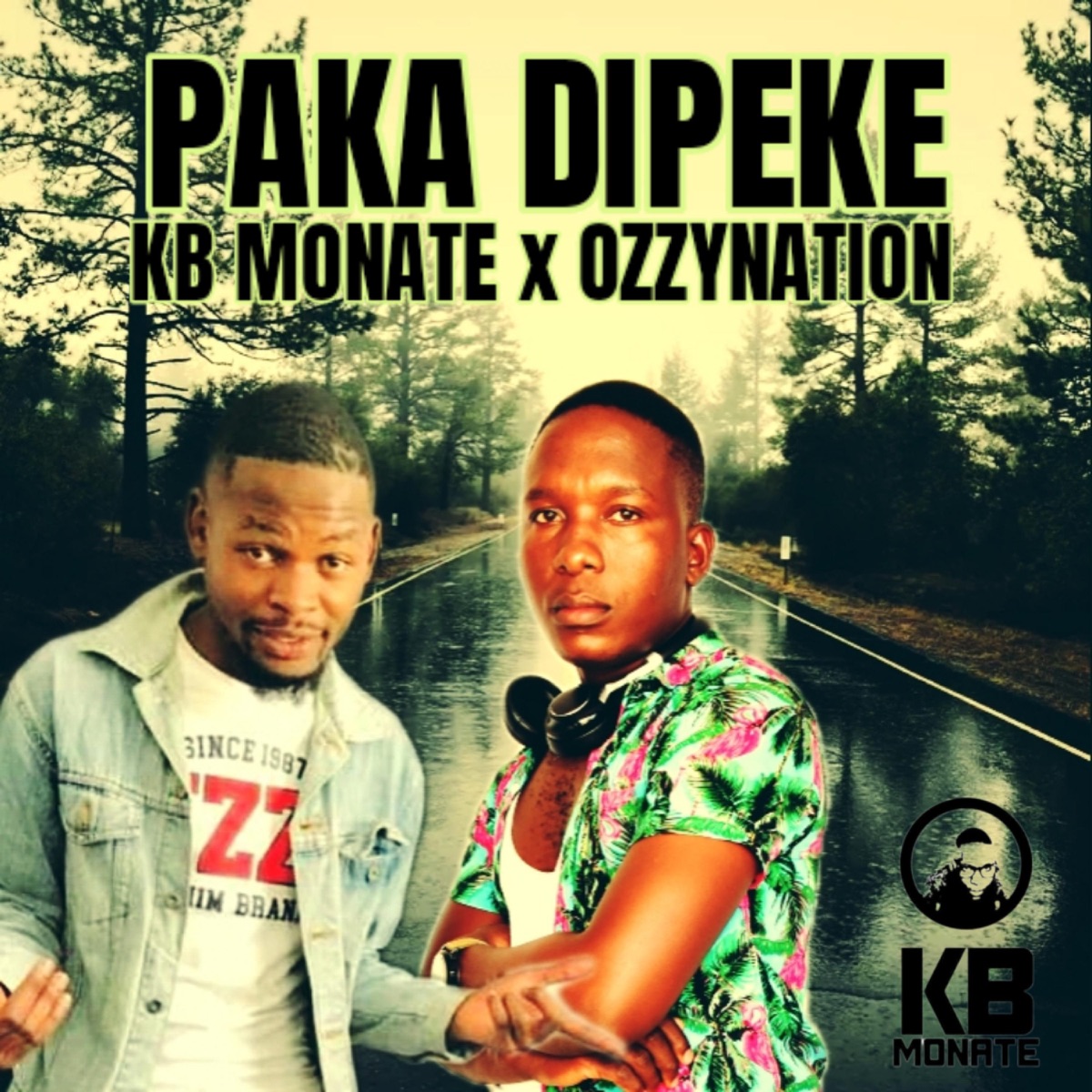 Paka dipeke (feat. OZZYNATION) - Single by KB Monate album cover