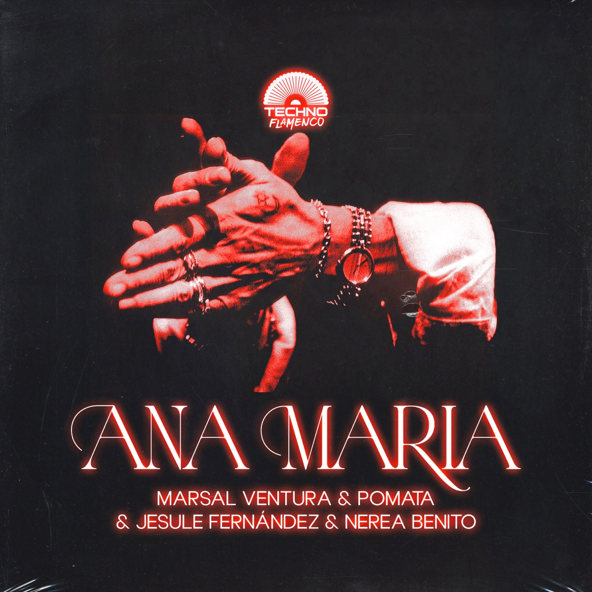 Ana María - Single by Marsal Ventura, Pomata, Jesule Fernández & Nerea Benito album cover