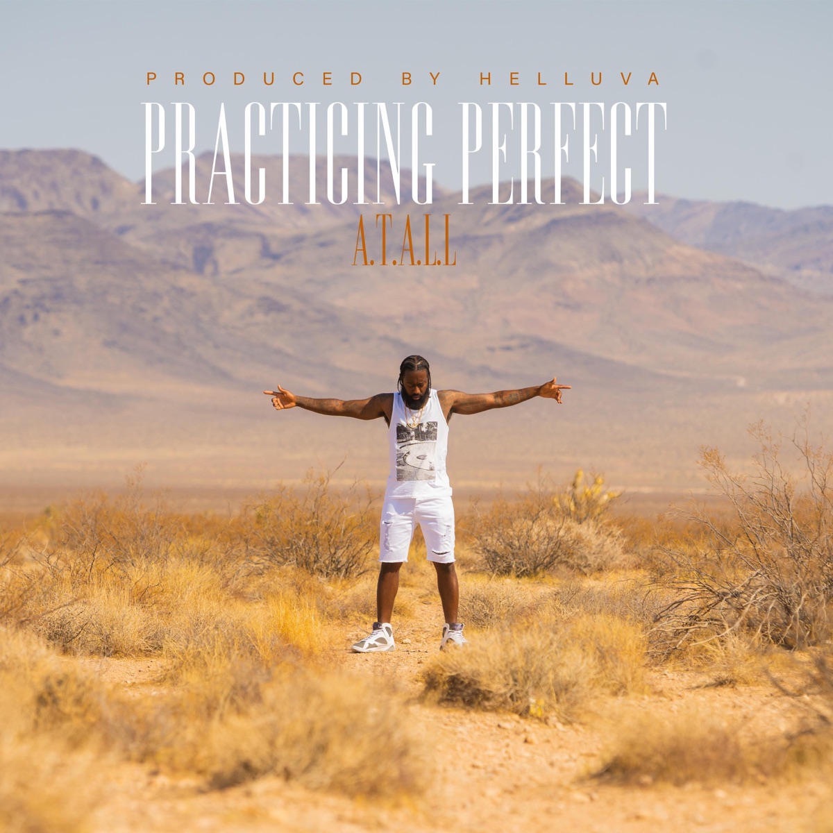 PRACTICING PERFECT - Single by PRACTICING P album cover