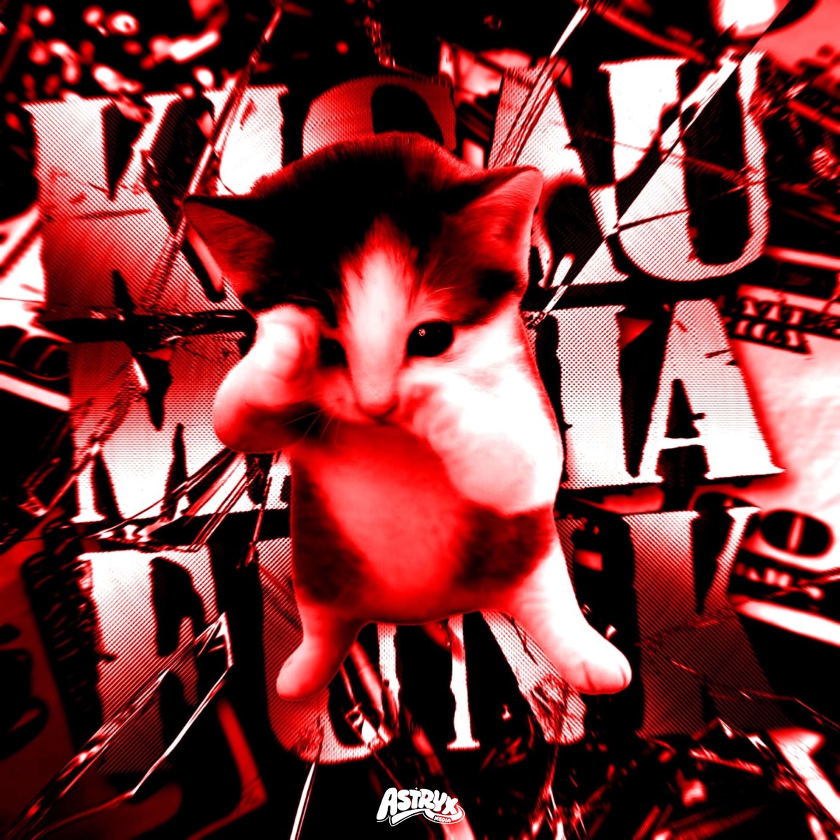 KICAU MANIA FUNK (feat. Its.Zaidan & stxrlight) - EP by IPBG, DJ TCH7 & DJ TGR album cover