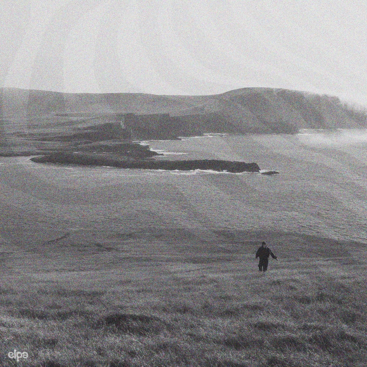Desillusion Meadows (Demo) - EP by Elpa album cover