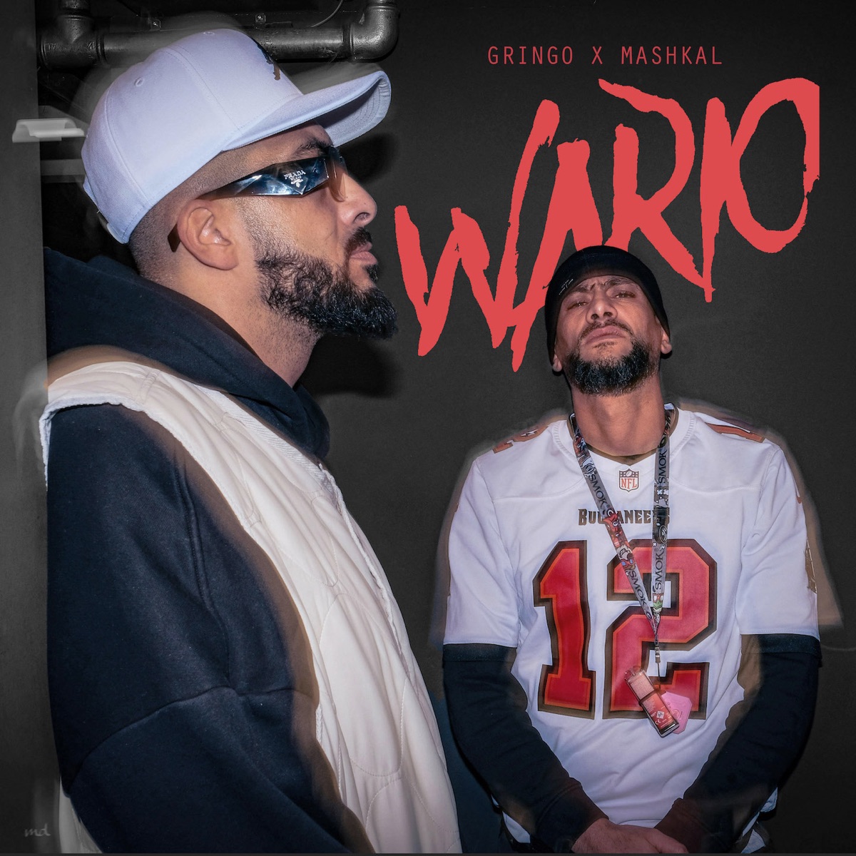 Wario - Single by GRiNGO & Mashkal album cover