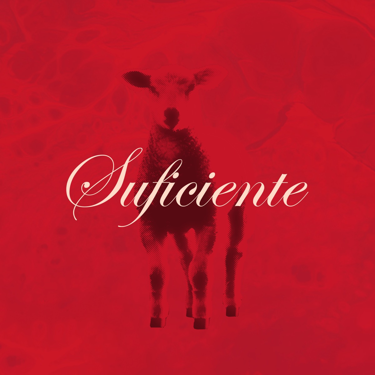 Suficiente - Single by En Casa Collective & Juan Aponte album cover