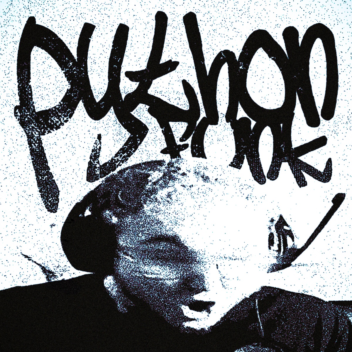 PYTHON FUNK - Single by Sayfalse & RD12 album cover