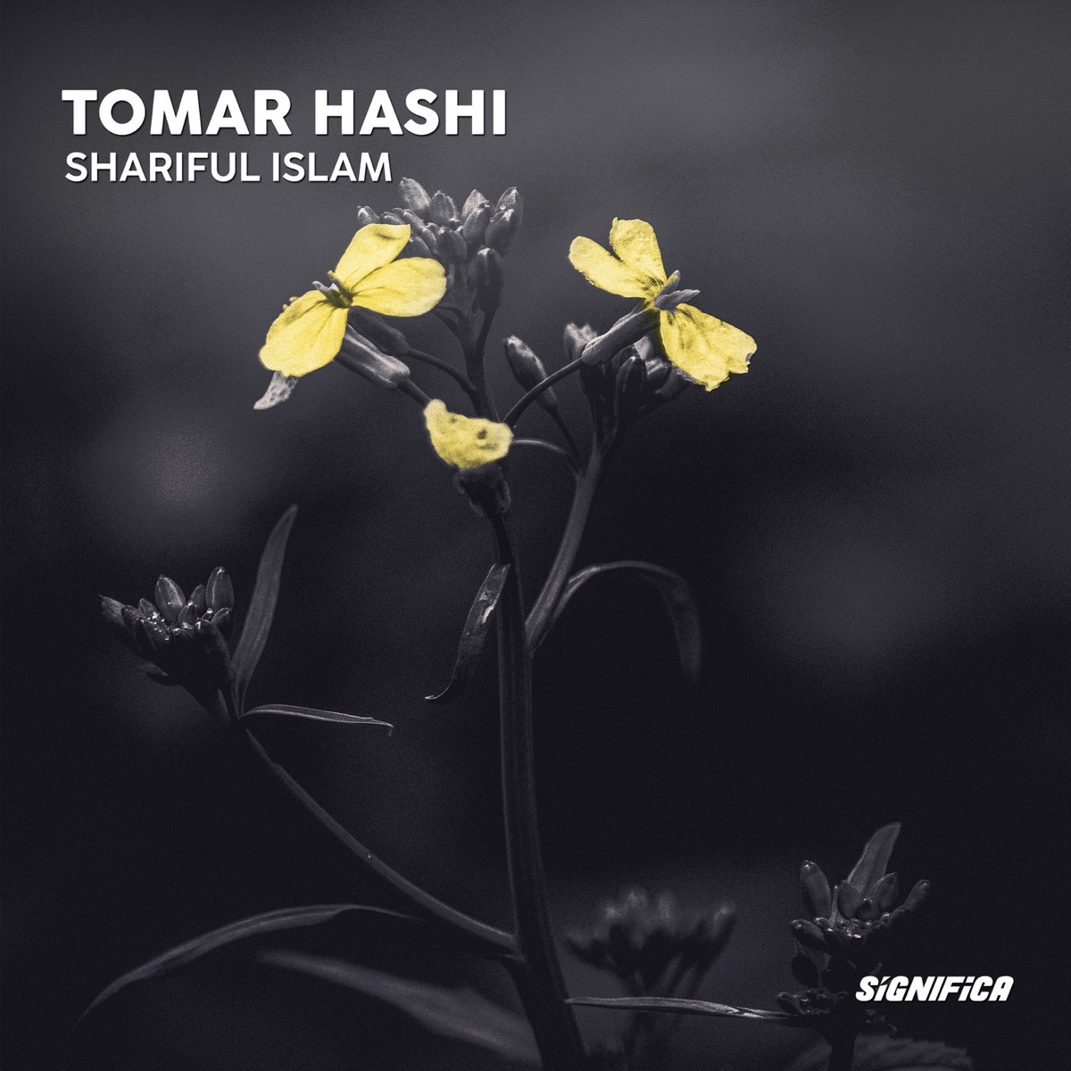 Tomar Hashi - Single by Shariful Islam album cover