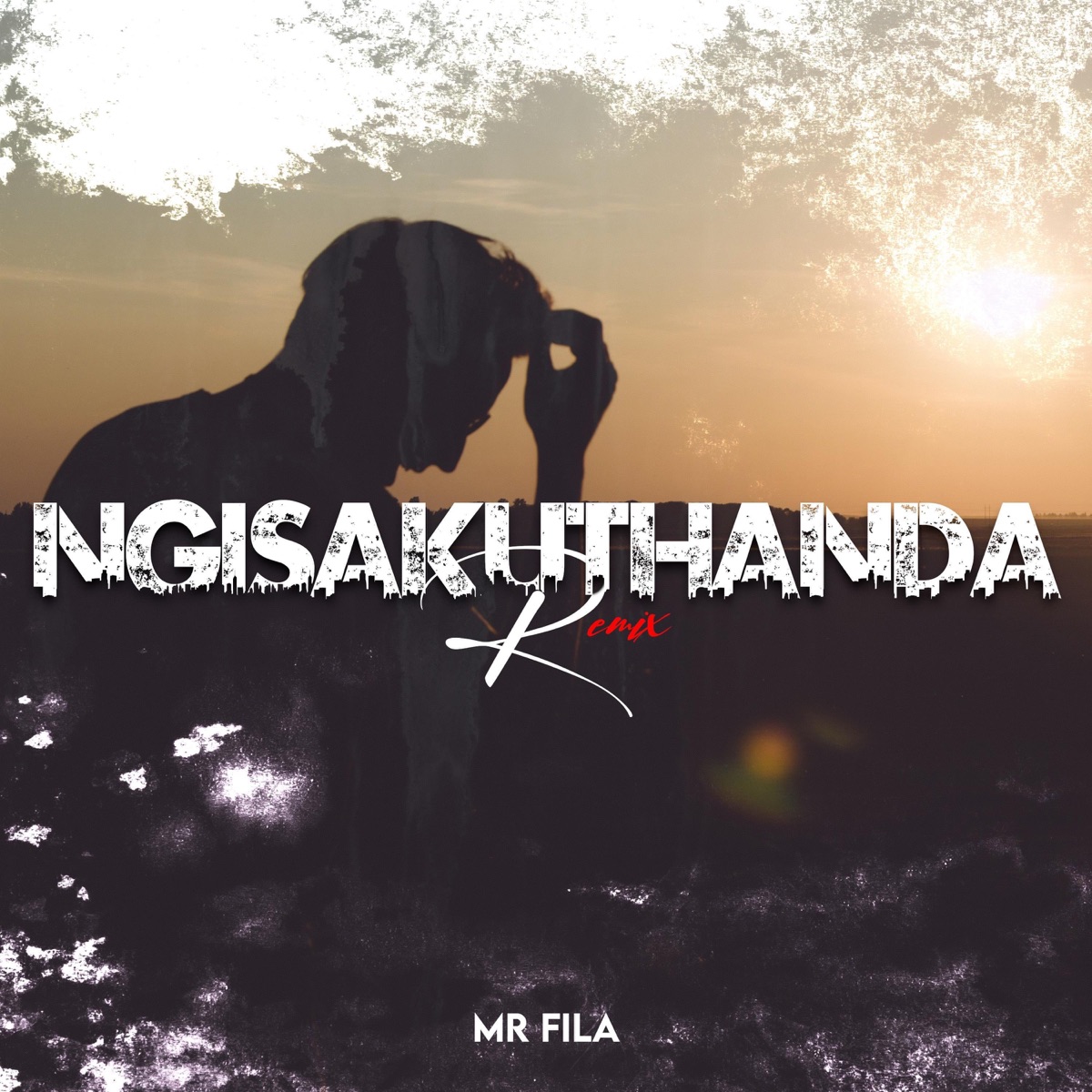 Ngisakuthanda (Remix) - Single by Mr Fila album cover