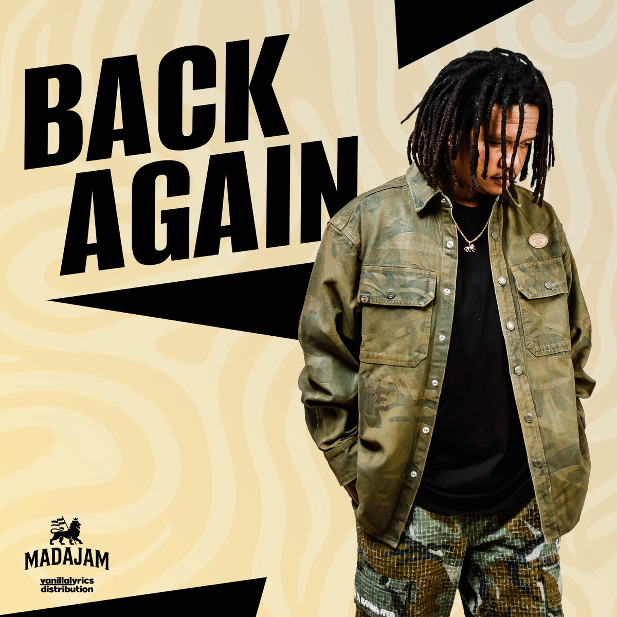 Back Again by Basta Lion album cover