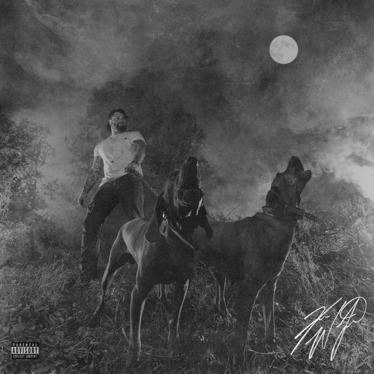 The Night Champion by Koe Wetzel album cover artwork