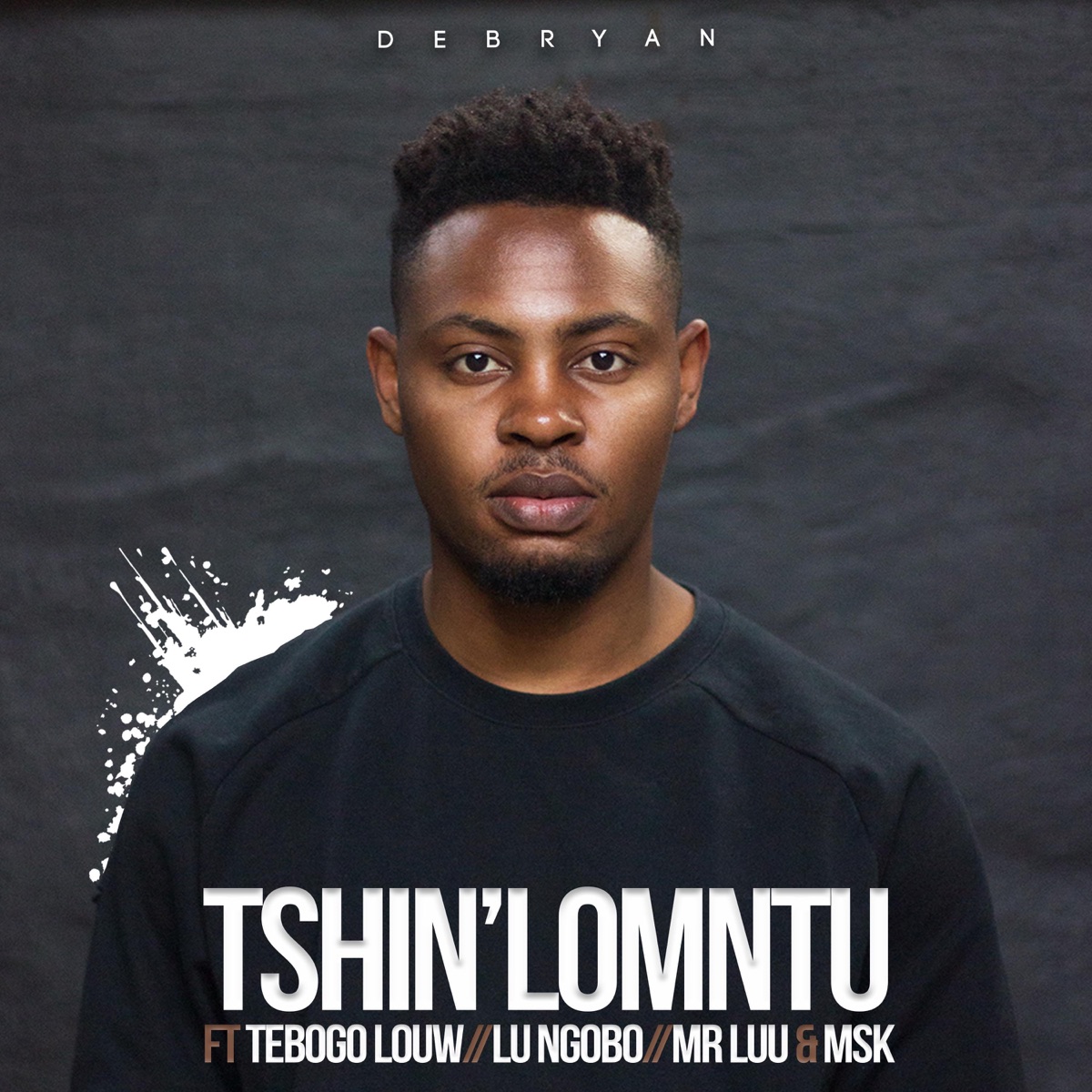 Tshin' Lomntu (feat. Tebogo Louw, Lu Ngobo, Mr Luu & Msk) - Single by DeBryan album cover
