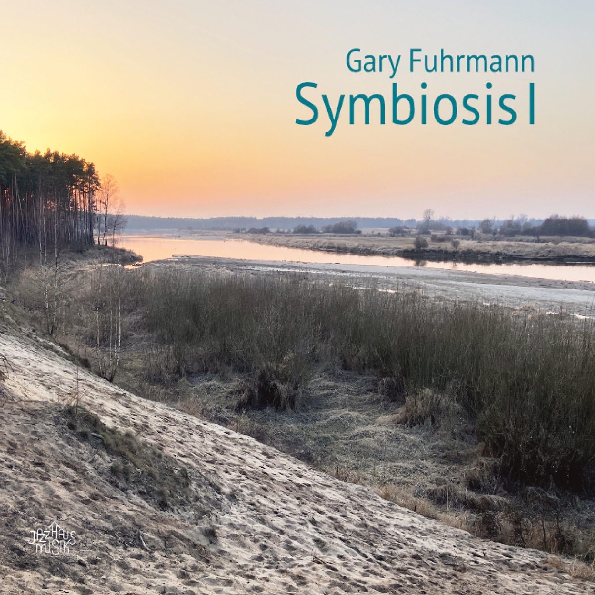 Symbiosis I by Gary Fuhrmann album cover
