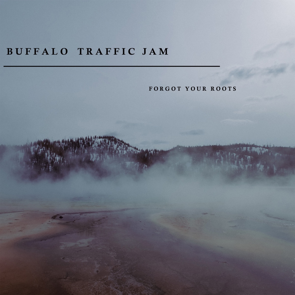 Forgot Your Roots - Single by Buffalo Traffic Jam album cover