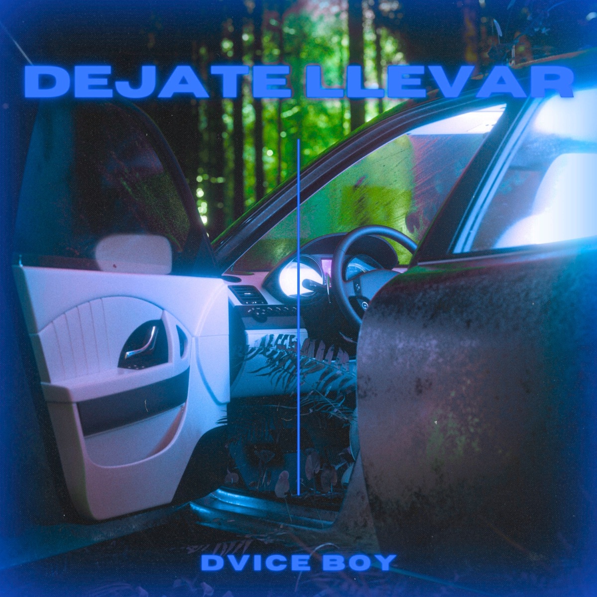 Déjate Llevar - Single by Dvice Boy album cover