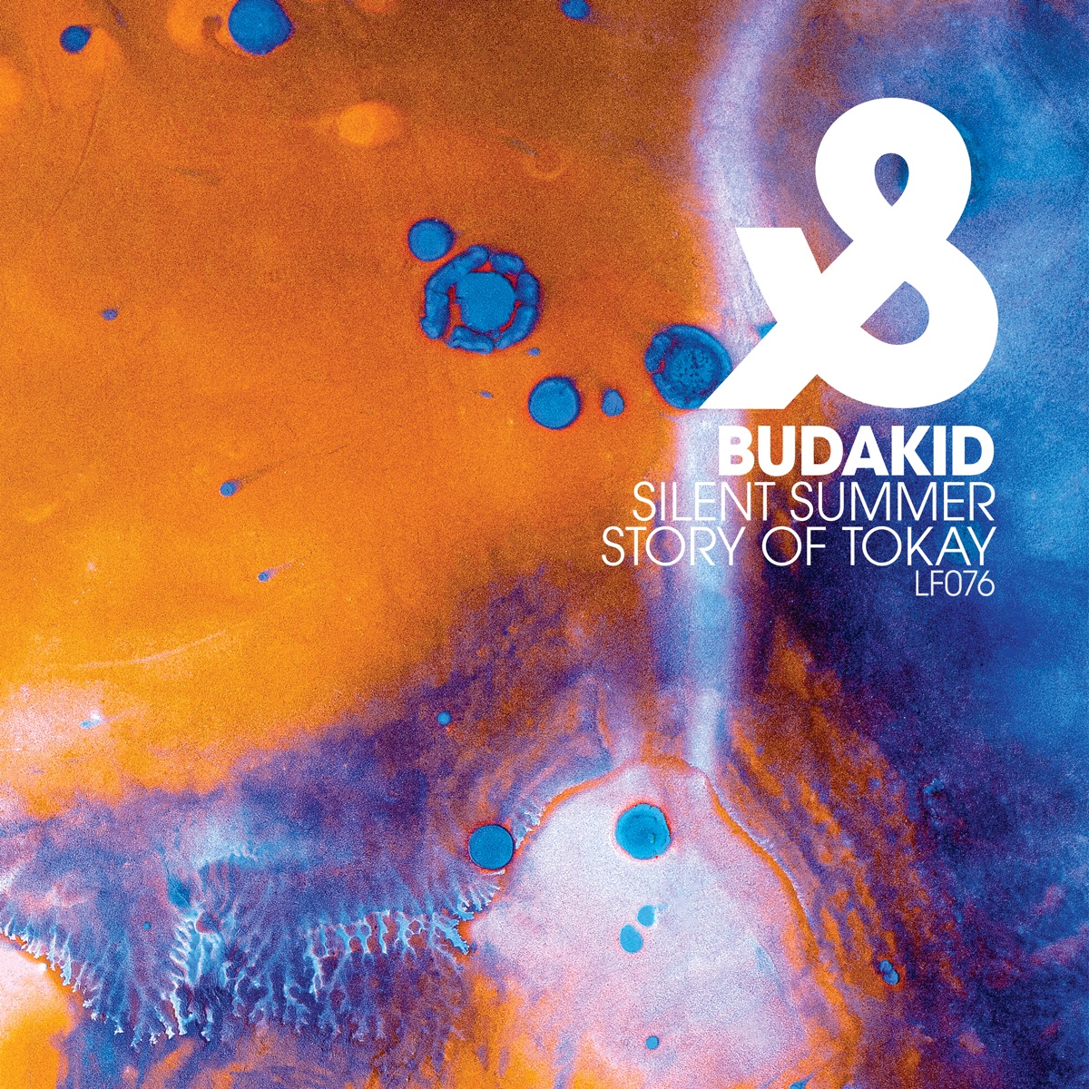 Silent Summer / Story of Tokay - Single by Budakid album cover