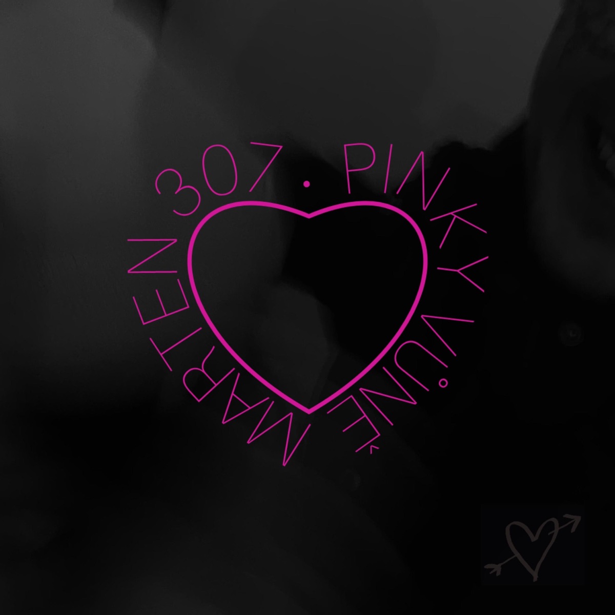 PINKY VŮNĚ - Single by Marten 307 album cover