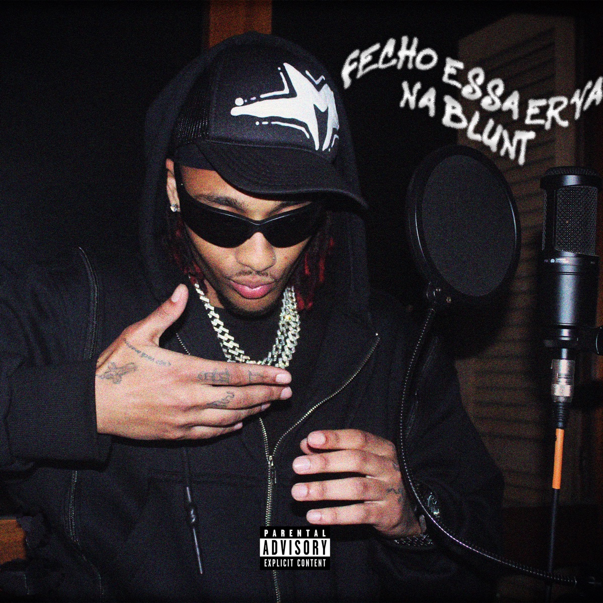 Fecho Essa Erva na Blunt - Single by UNDERGANG REC & Murilean album cover