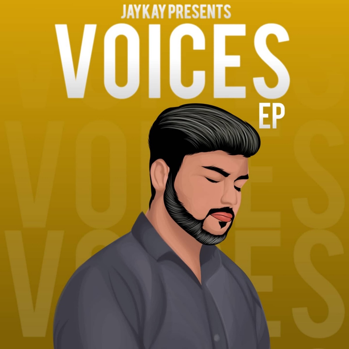 Voices - EP by Jay Kay album cover