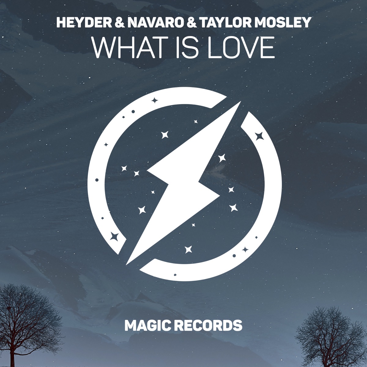 What Is Love - Single by Heyder, Navaro & Taylor Mosley album cover