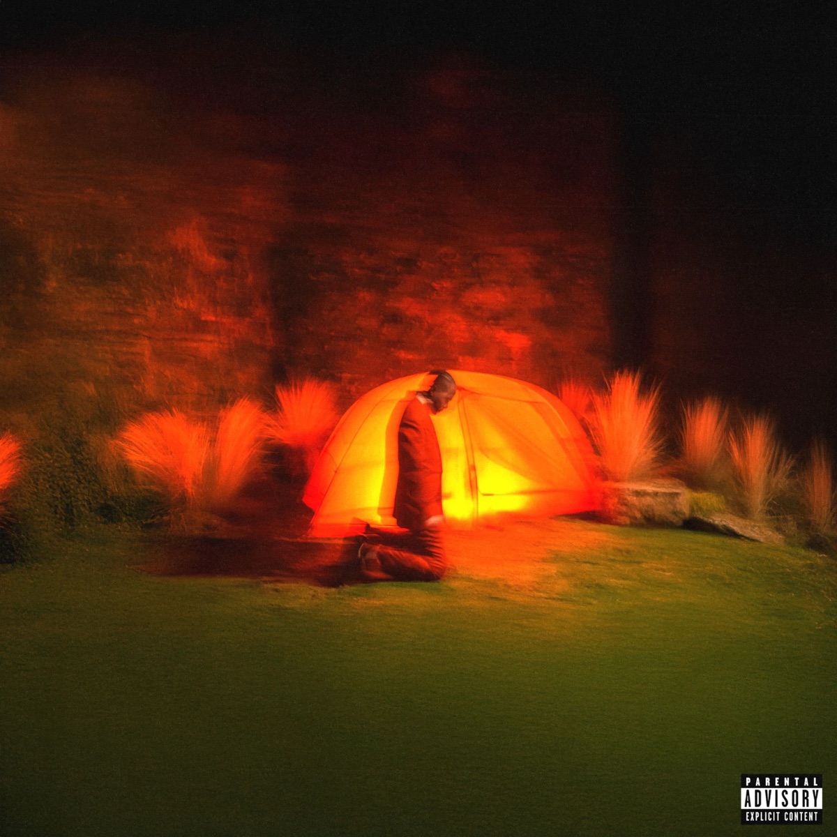 CAMPILATION by Camper album cover