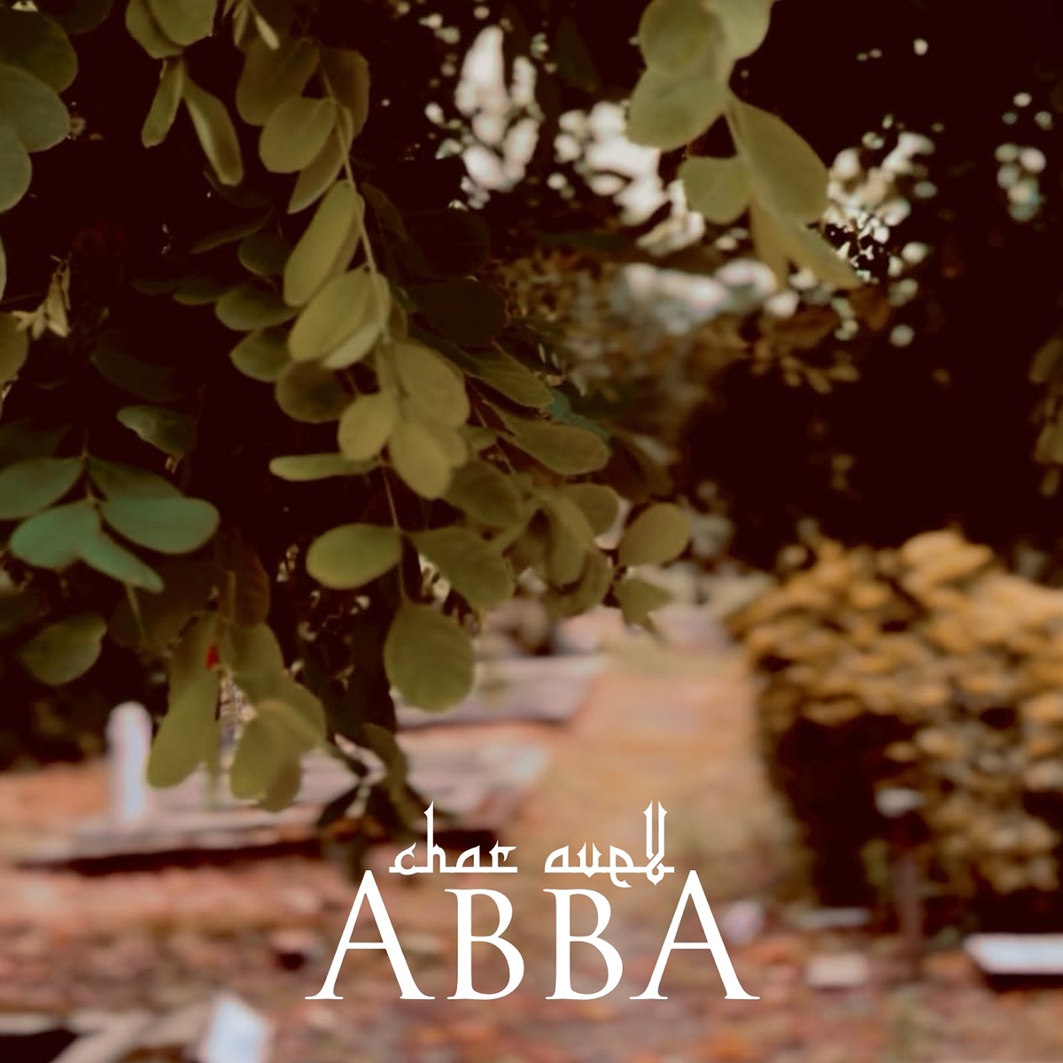 Abba - Single by Char Avell album cover