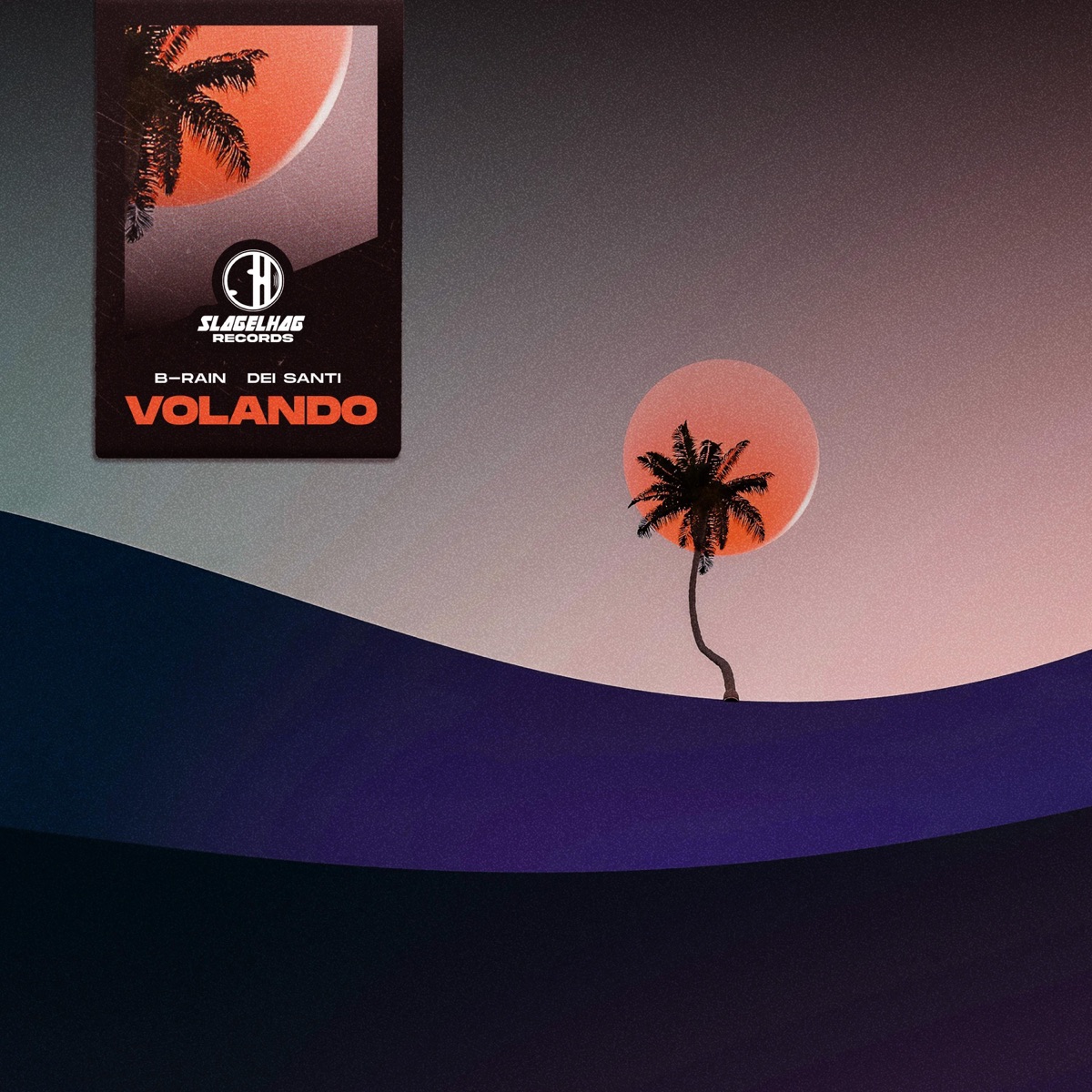 Volando - Single by B-Rain & Dei Santi album cover
