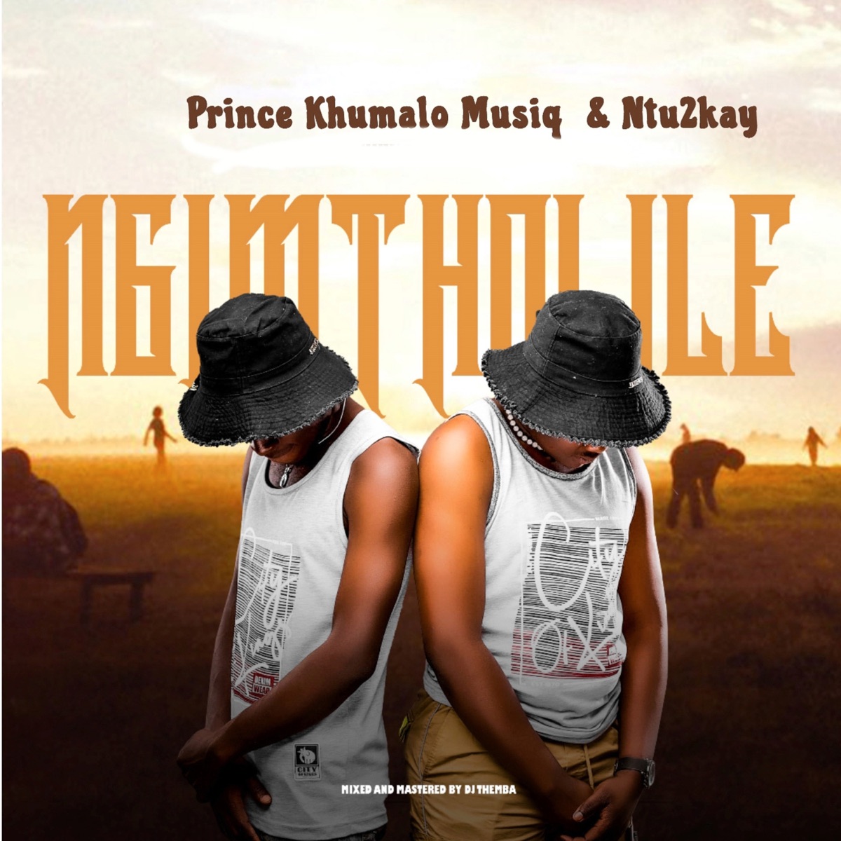 Ngimtholile - Single by Prince Khumalo Musiq & Ntu2kay album cover