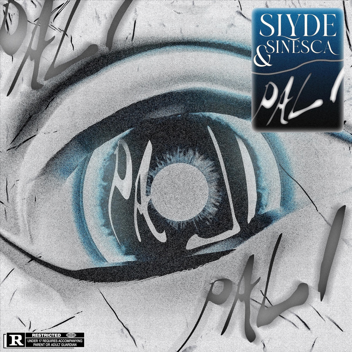 PALI - Single by Sinesca & Slyde album cover