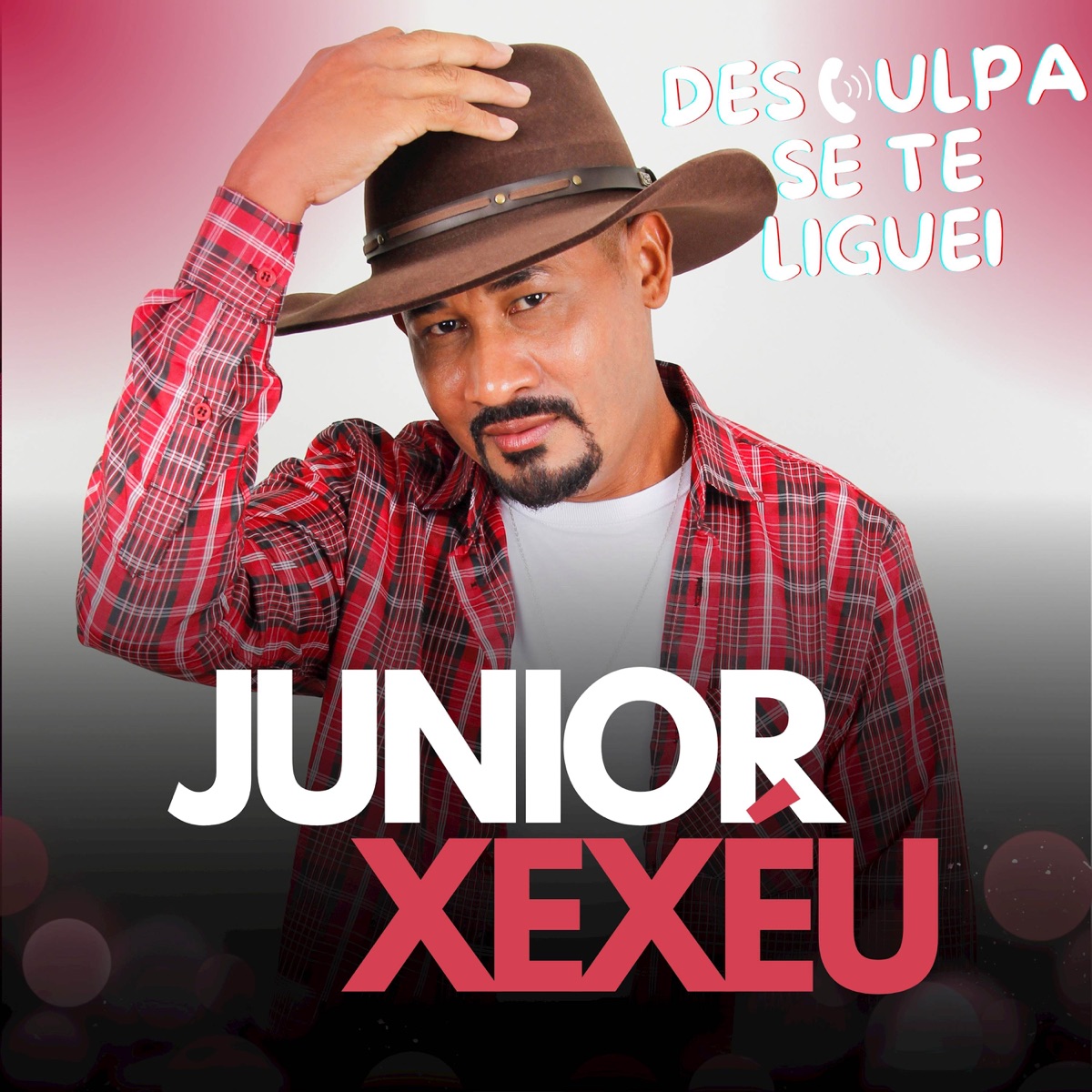 Desculpa Se Te Liguei - Single by Junior Xexéu album cover