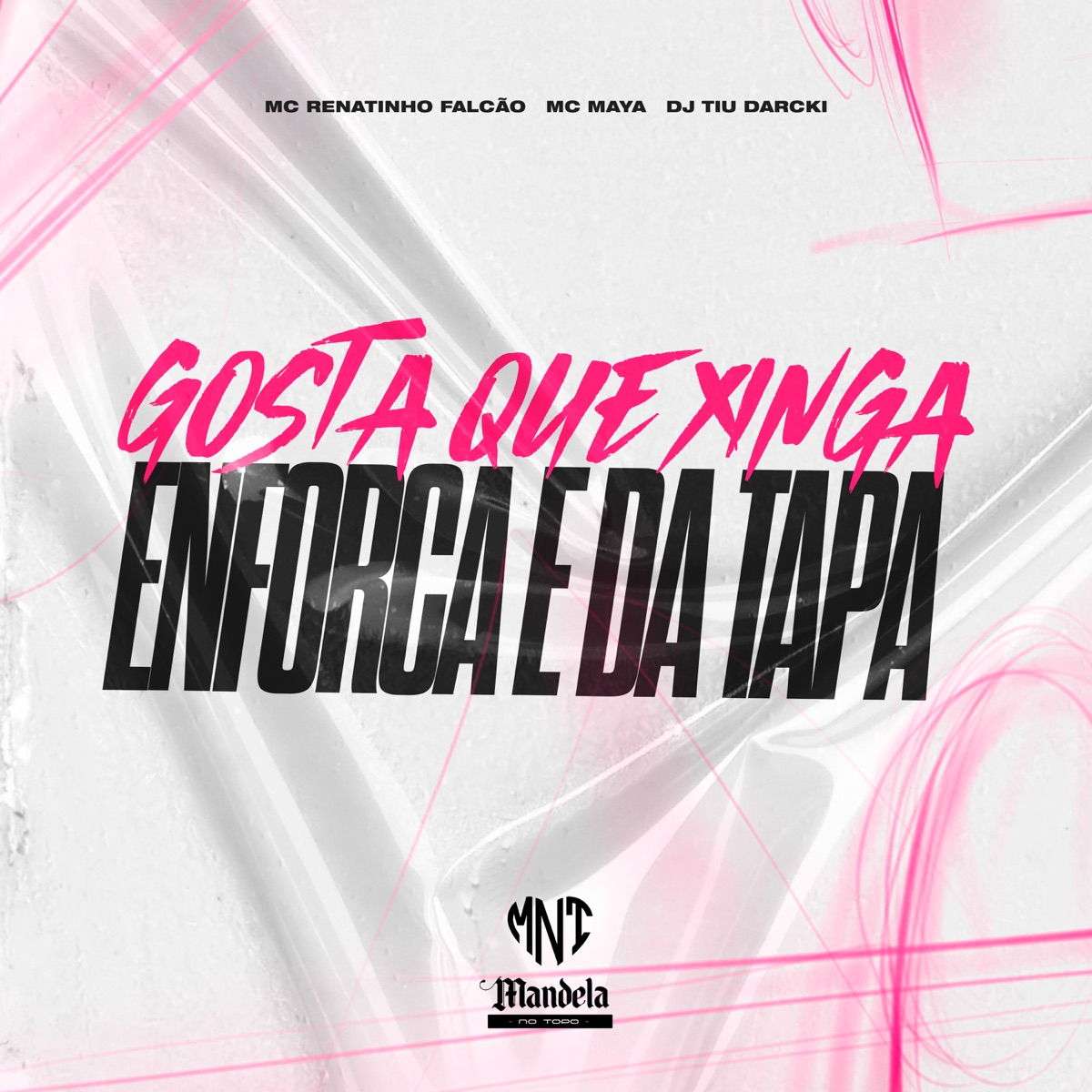 Gosta Que Xinga Enforca e da Tapa (feat. MC Maya) - Single by DJ TiuDarcki & MC Renatinho Falcão album cover