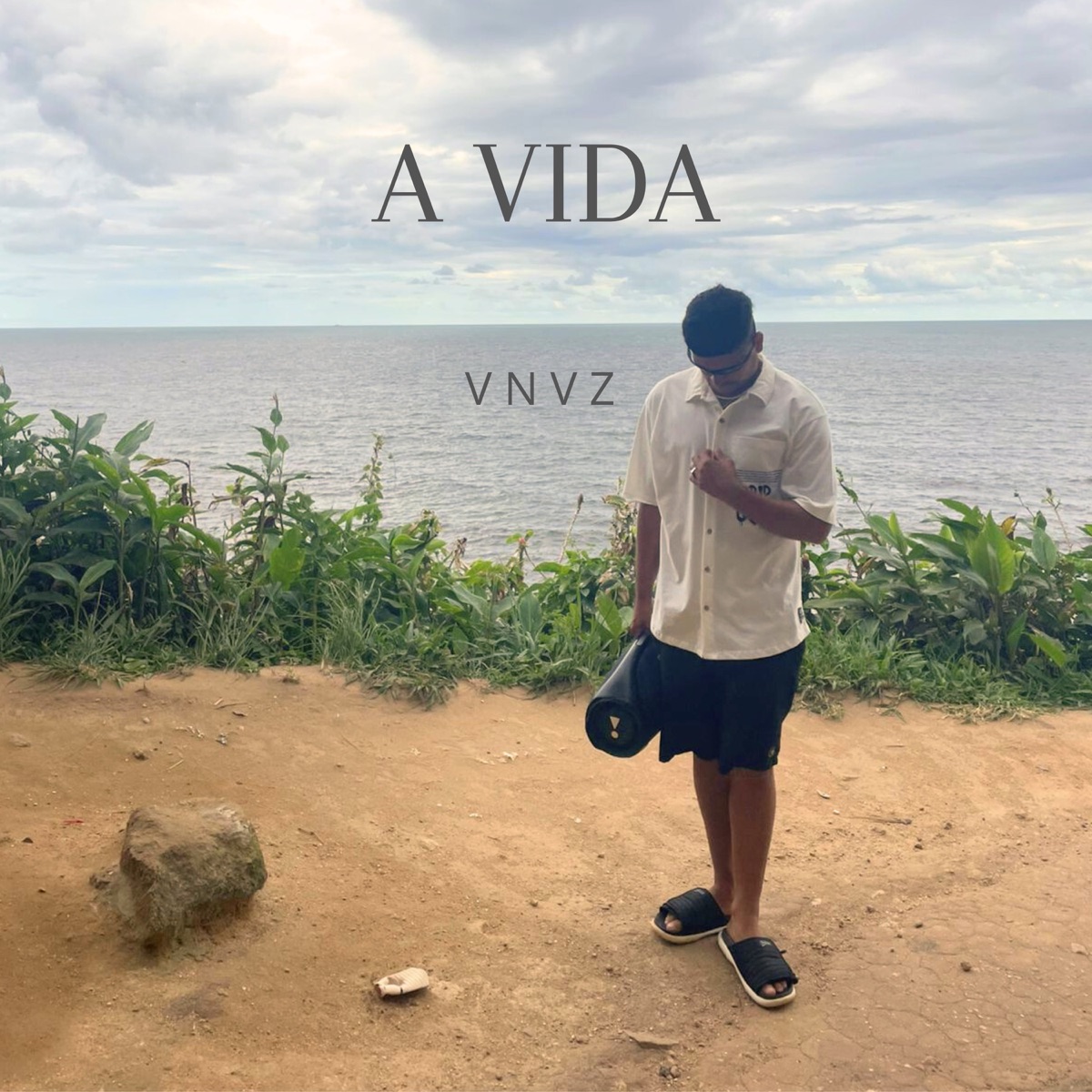 A Vida - Single by VNVZ album cover