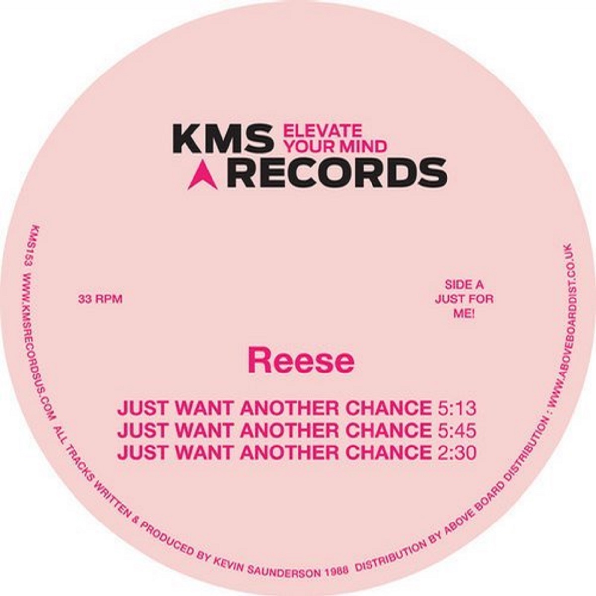 Just Want Another Chance by Reese & Kevin Saunderson album cover
