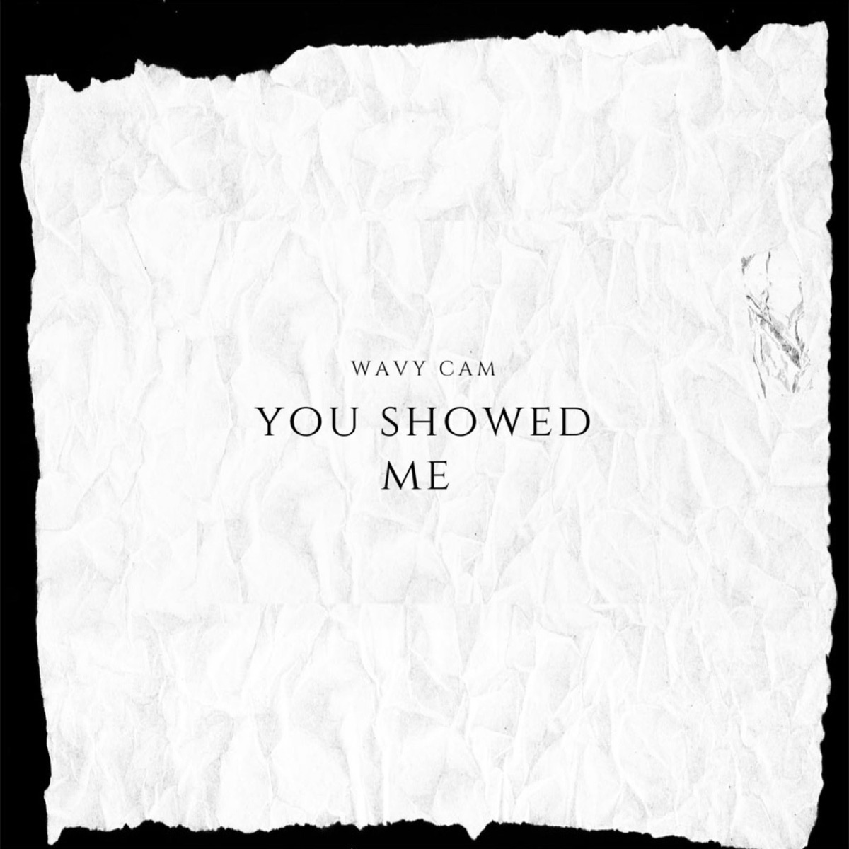 YOU SHOWED ME (Reloaded) - Single by Wvy Cam album cover