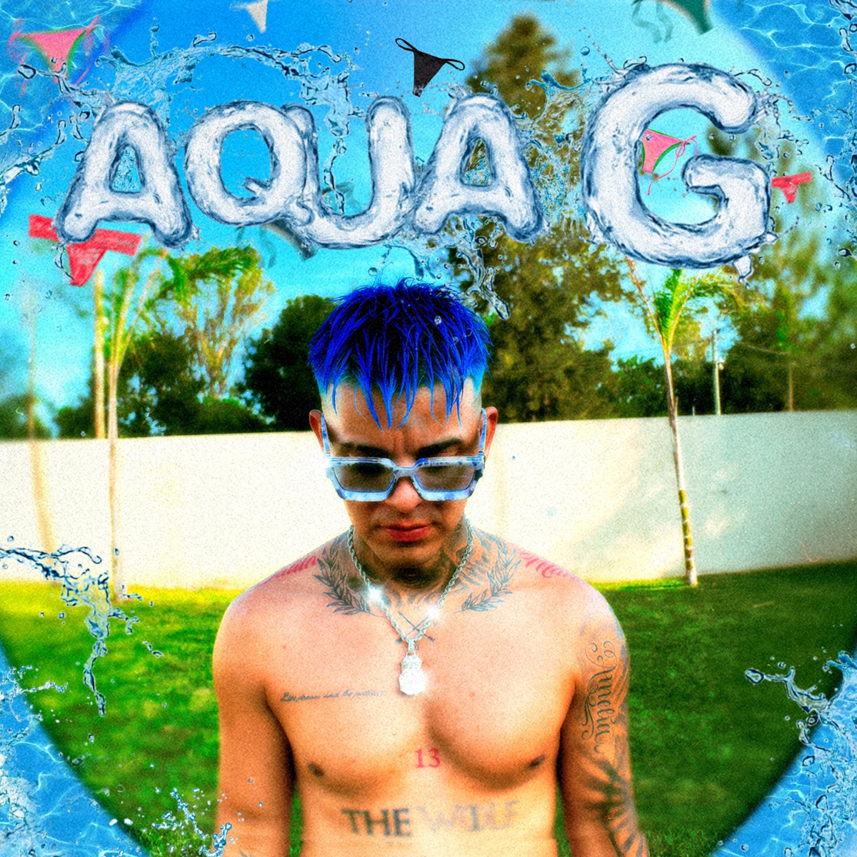 Aqua G - Single by Gabbi La G album cover