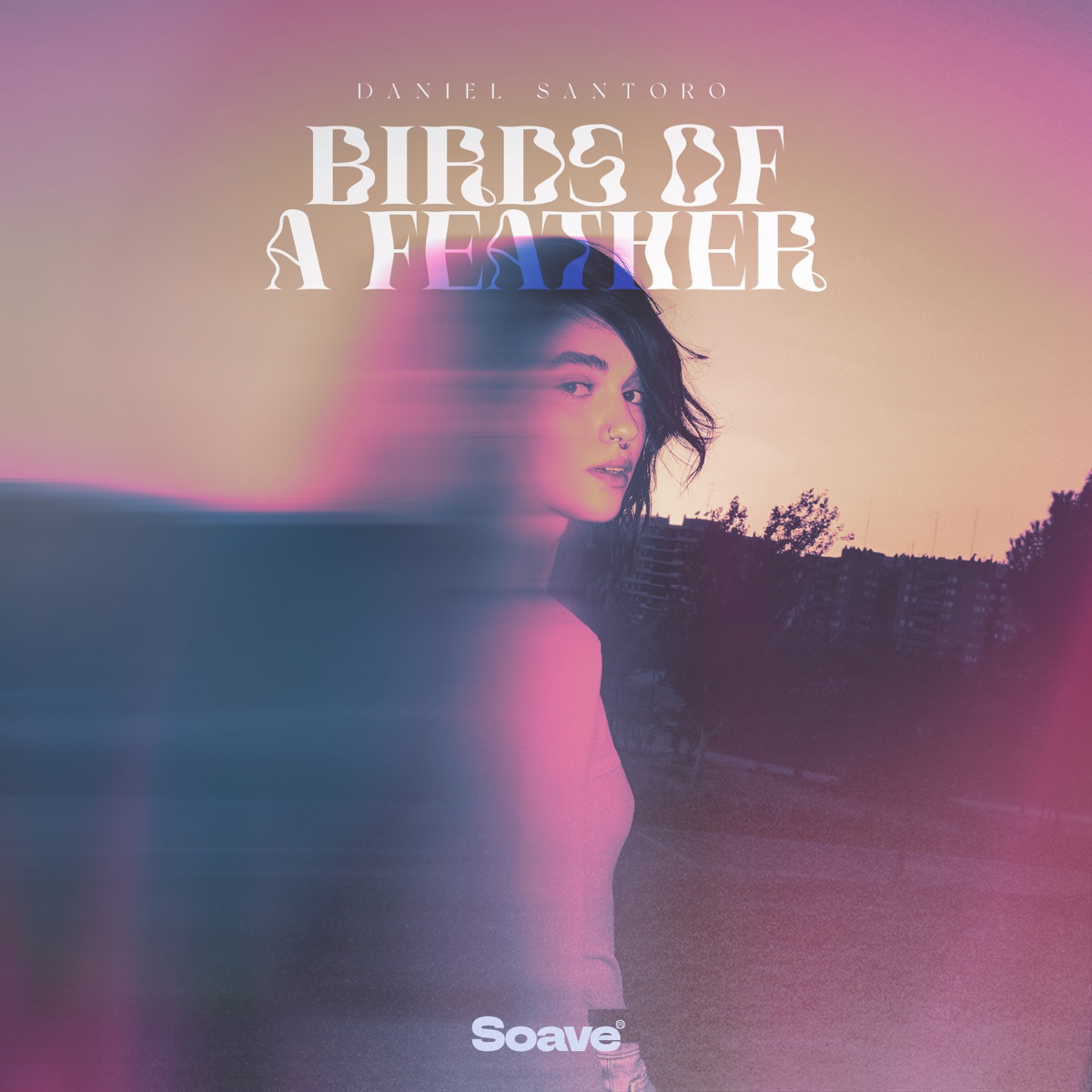 BIRDS OF A FEATHER - Single by Daniel Santoro album cover