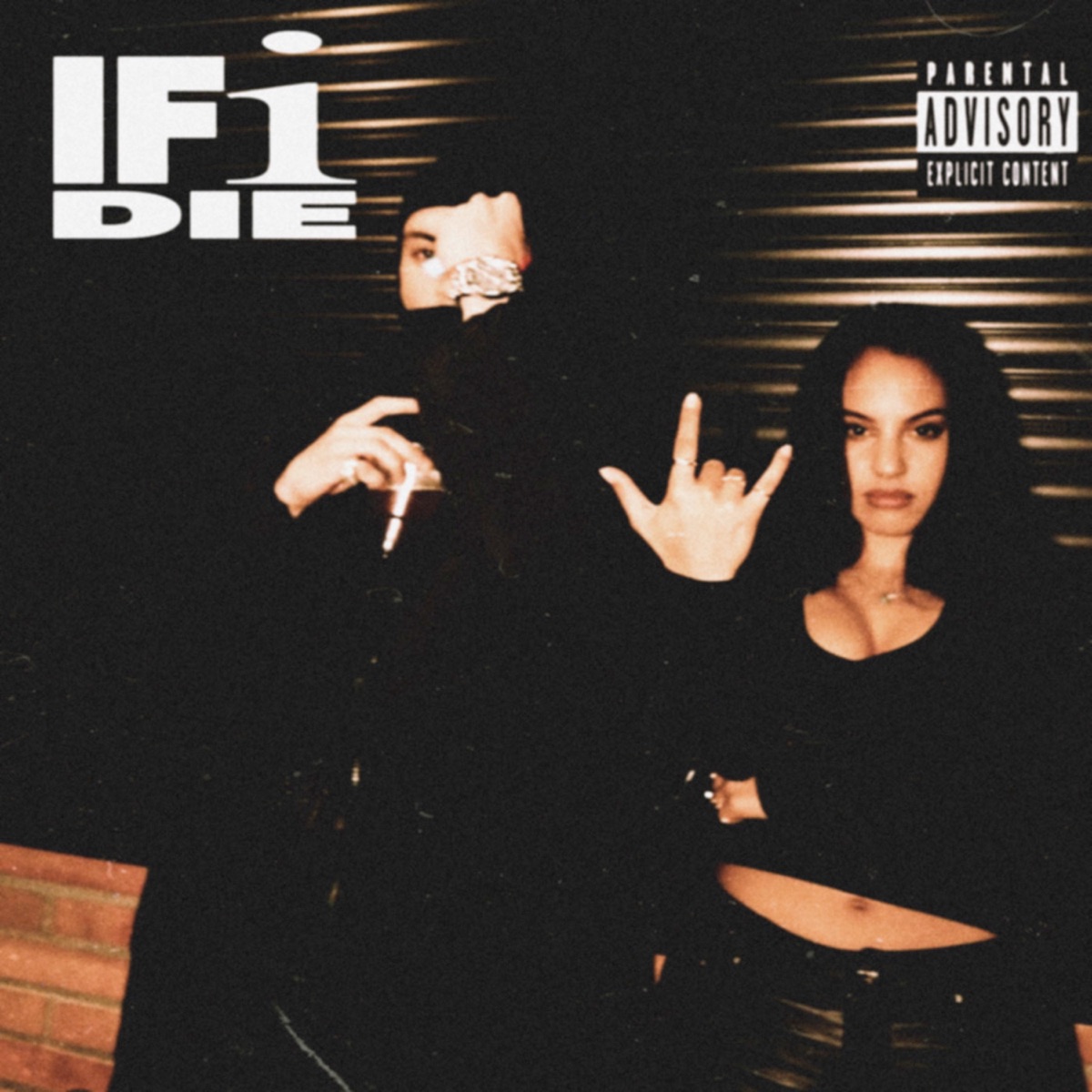 IF I DIE - Single by IcyGetBack & Shynelevell album cover