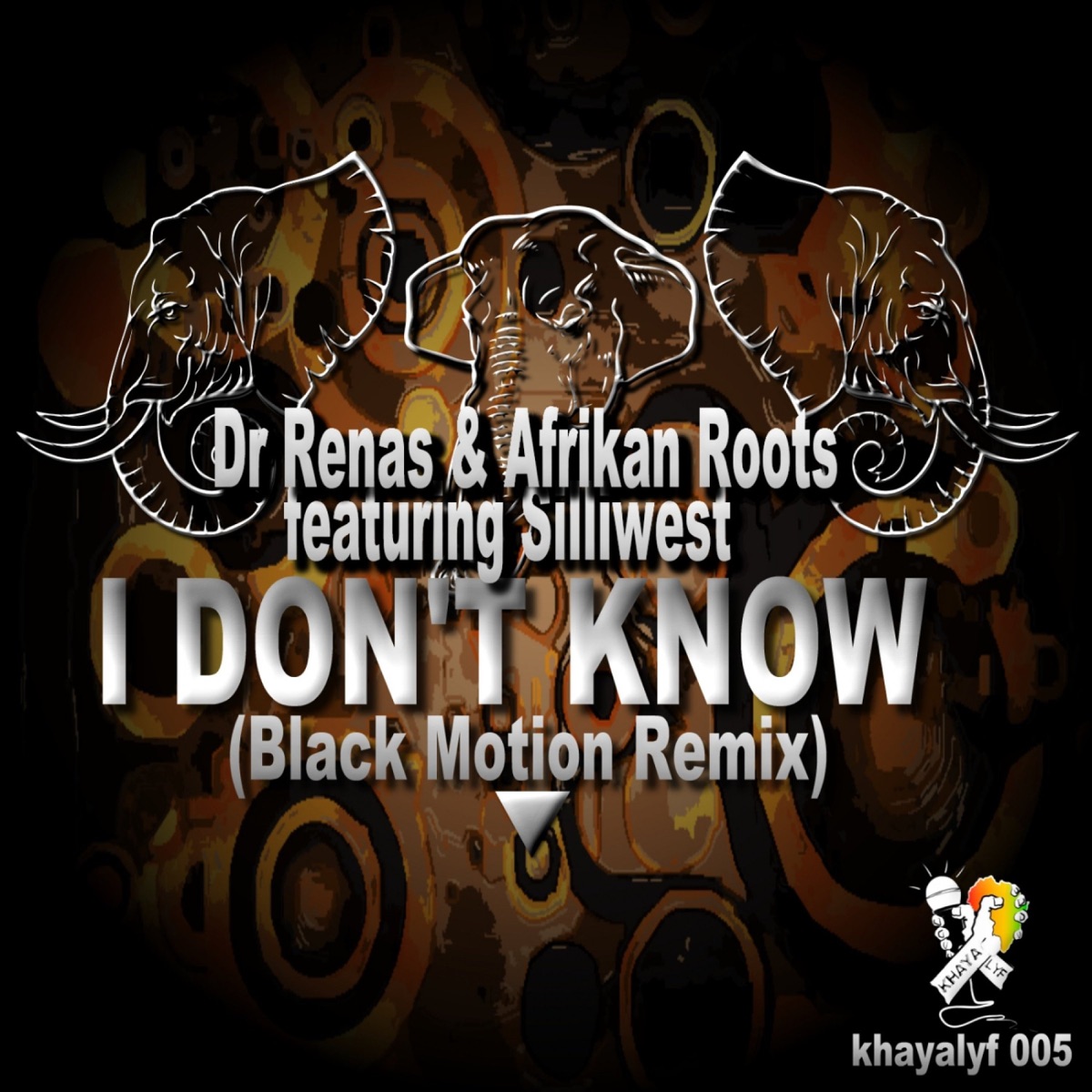 I Don't Know (Black Motion Remix) [feat. Sillywest] - Single by Dr.Renas & Afrikan Roots album cover