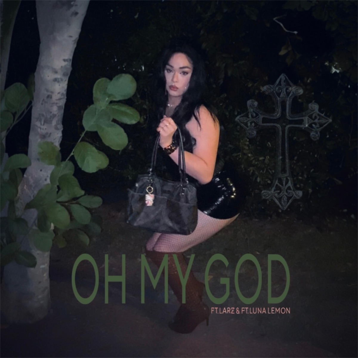 OMG (feat. Larz & LunaLemon) - Single by ChillOutPaul album cover