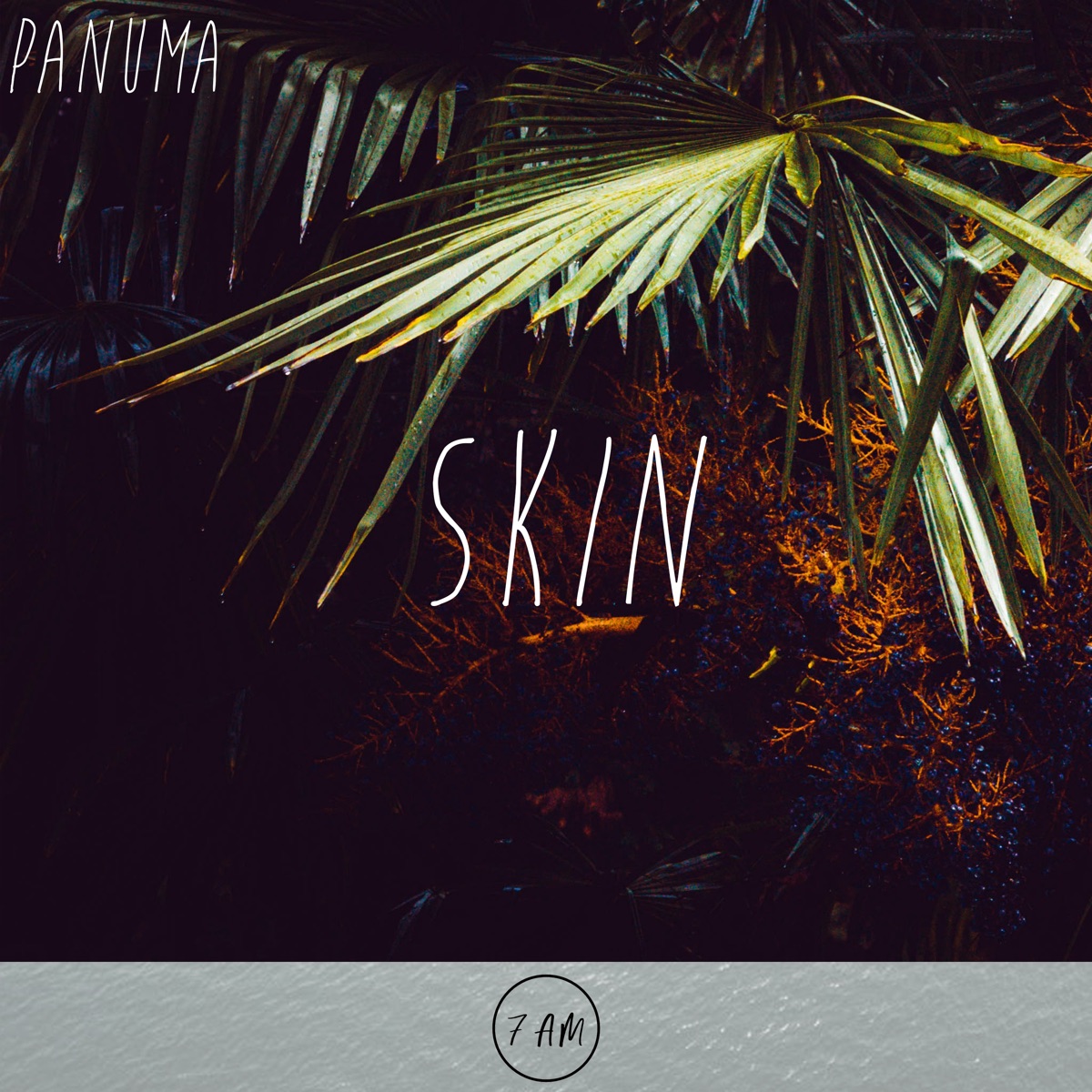 Skin - Single by Panuma album cover