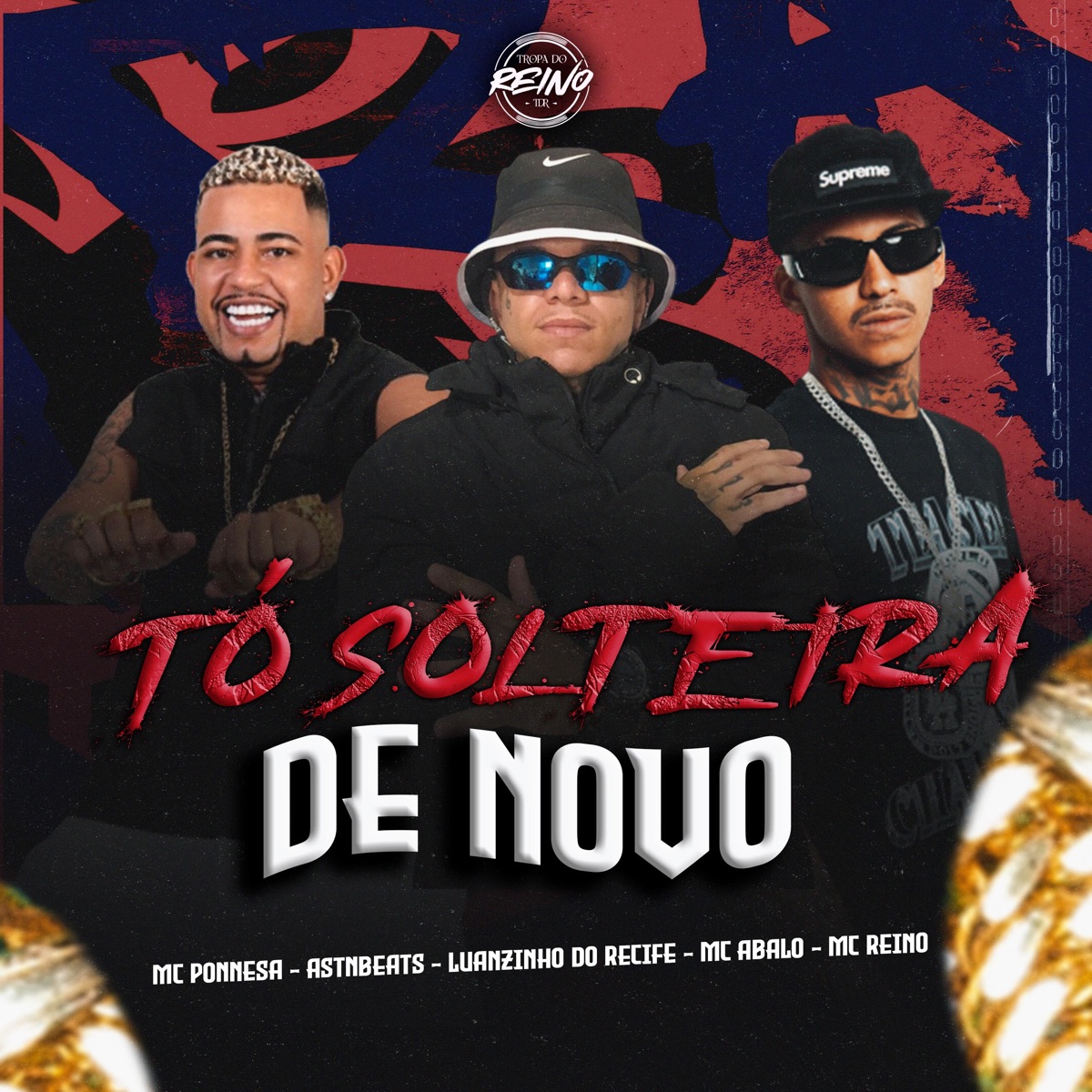 Tô Solteira de Novo - Single by Luanzinho do Recife, MC Reino, Mc Abalo, astnbeats, Ponnesa & TROPA DO REINO album cover