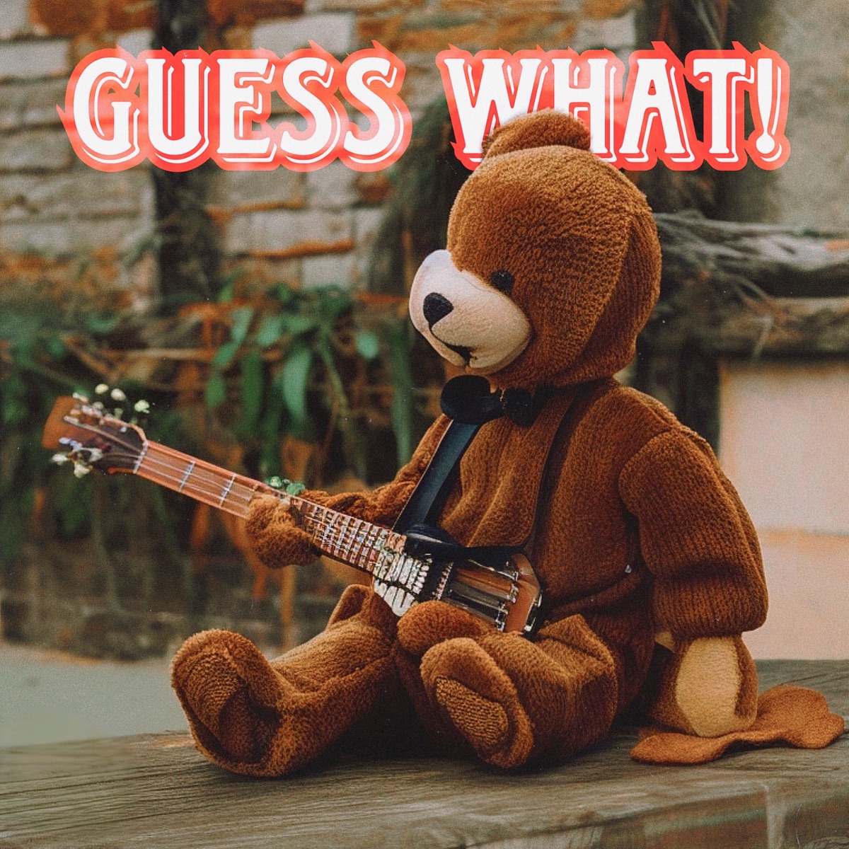 Guess What! by Thomy Plows album cover