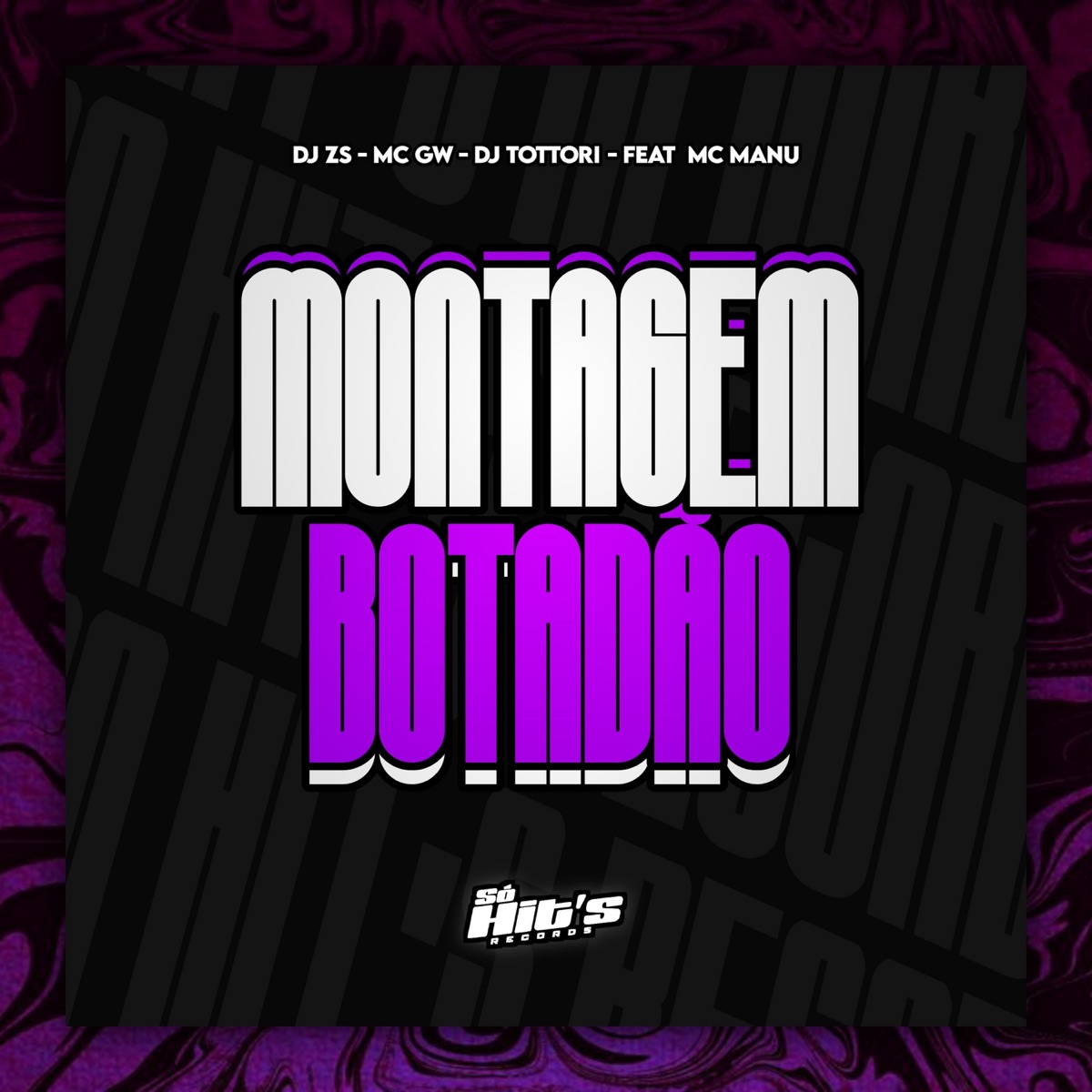 Montagem Botadão (feat. MC Manu & Só Hits Records) - Single by DJ ZS, DJ TOTTORI & MC GW album cover