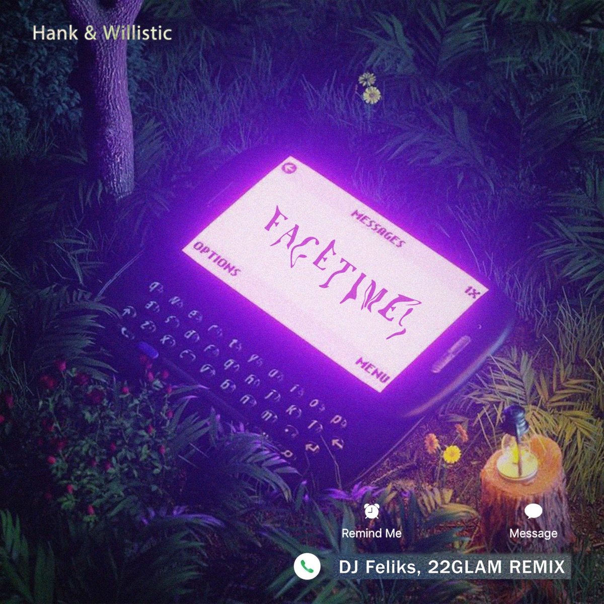 FACETIME! (DJ Feliks & 22GLAM Remix) - Single by Hank & Willistic album cover