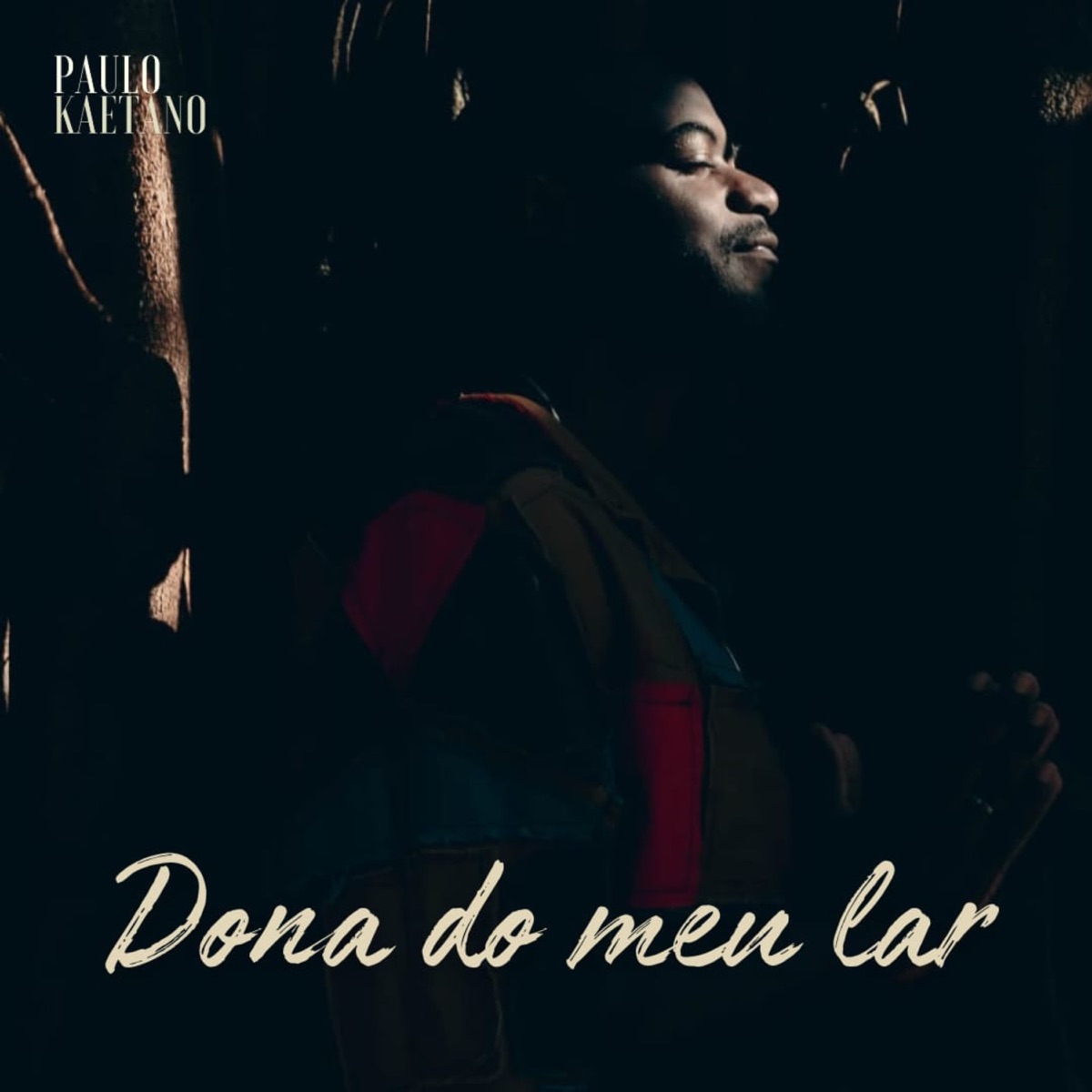 Dona do meu (feat. Estúdio Fazendo Arte) - Single by Paulo kaetano album cover