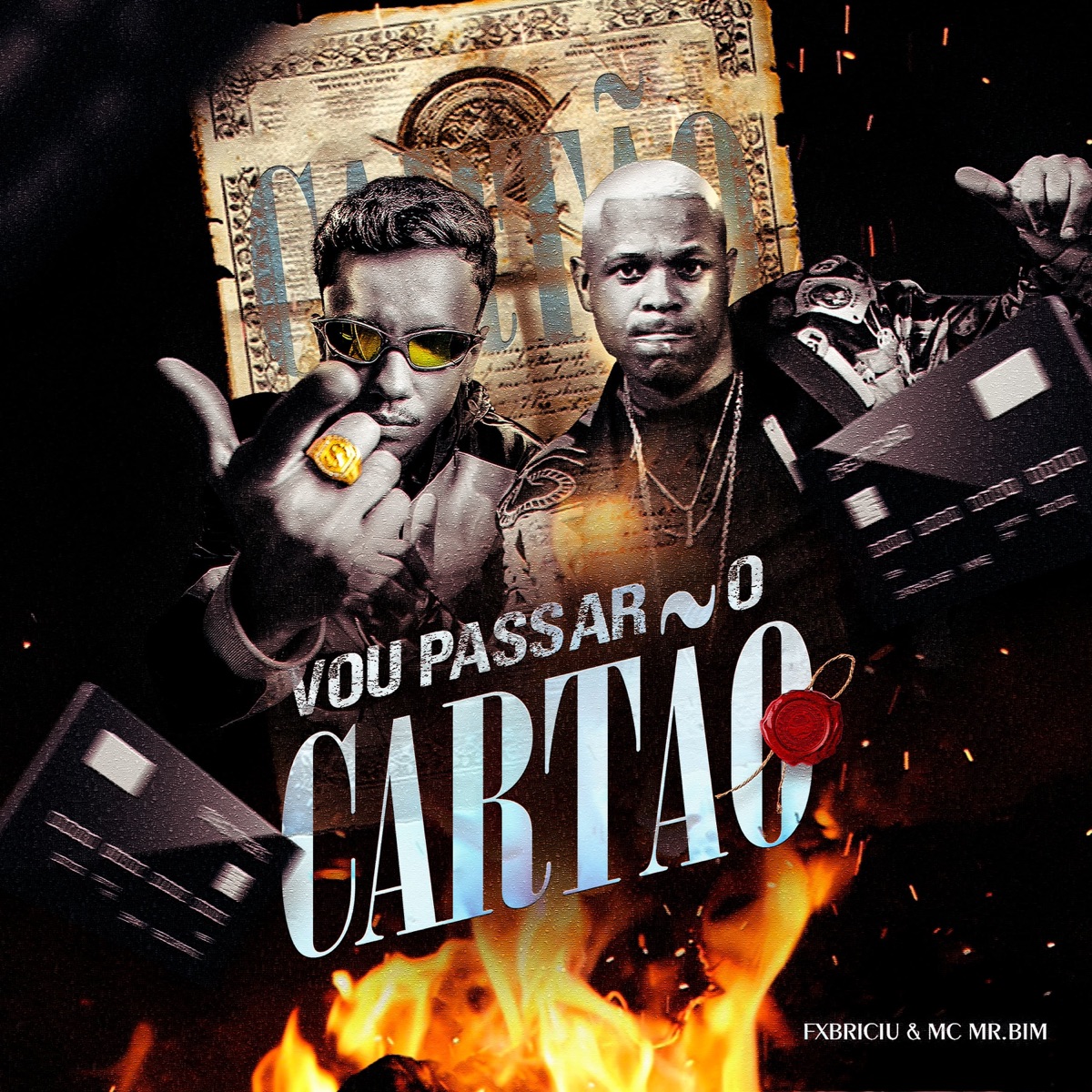 Vou Passar o Cartão - Single by Fxbriciu & Mc Mr. Bim album cover