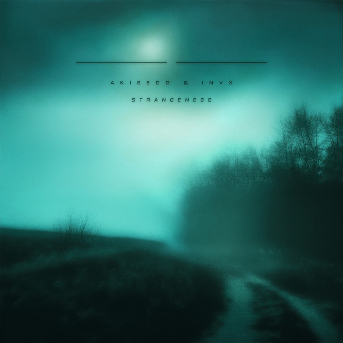 strangeness - Single by akisedd & INVX album cover