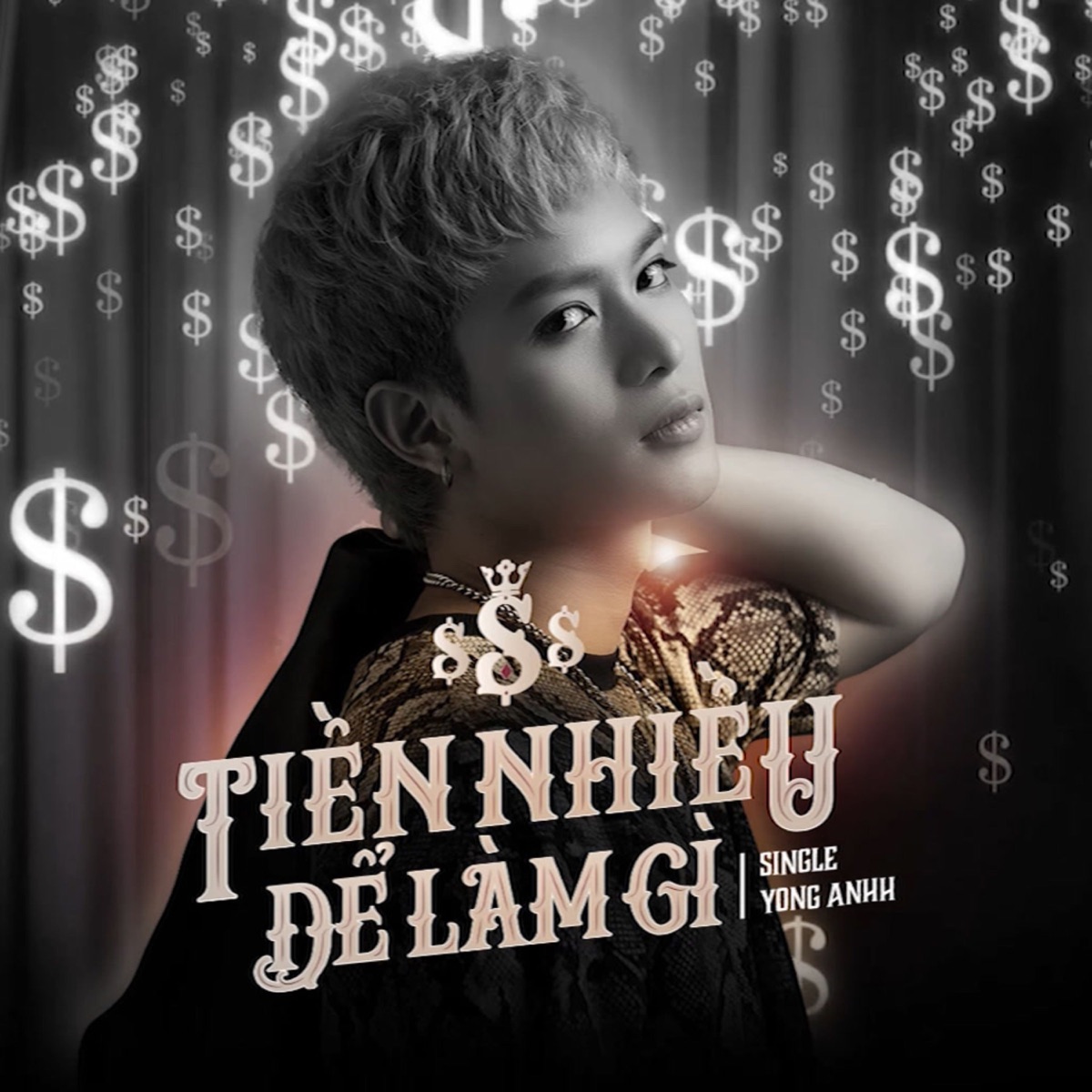 Tiền Nhiều Để Làm Gì - Single by Yong Anh album cover