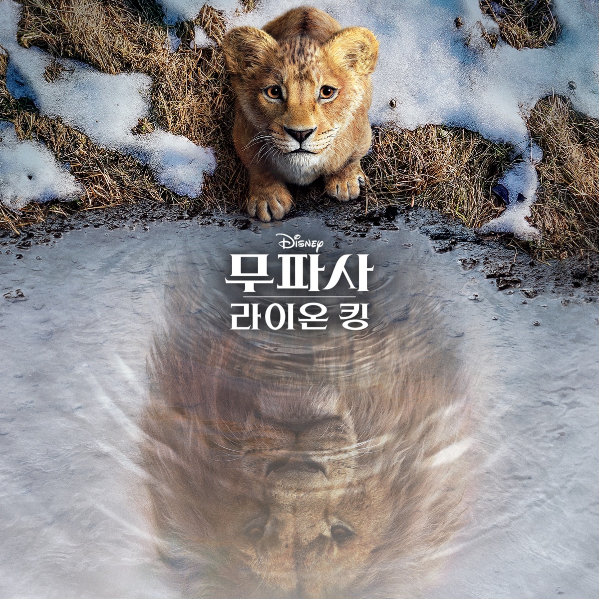 Mufasa: The Lion King (Korean Original Motion Picture Soundtrack) by Lin-Manuel Miranda, Lebo M & Dave Metzger album cover artwork