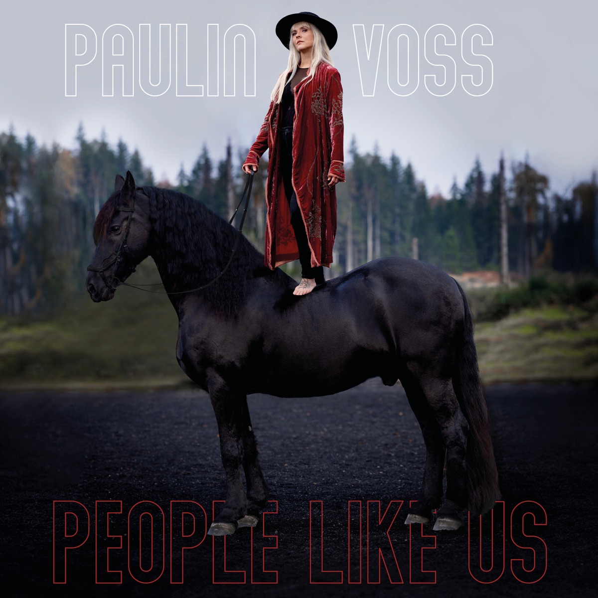 PEOPLE LIKE US by Paulin Voss album cover