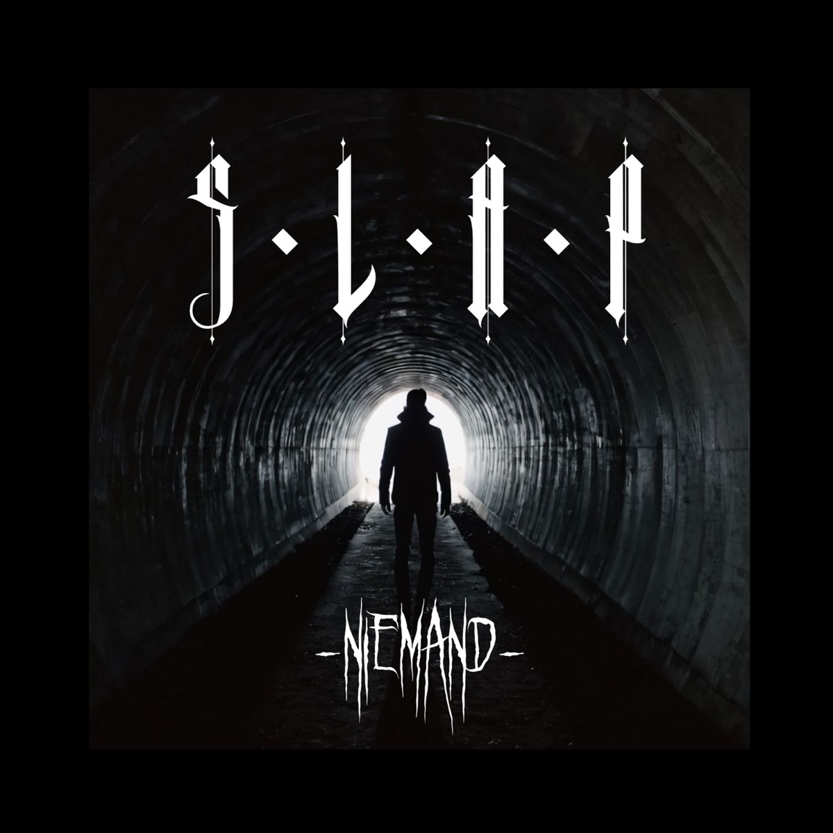 Niemand - Single by S.L.A.P. album cover