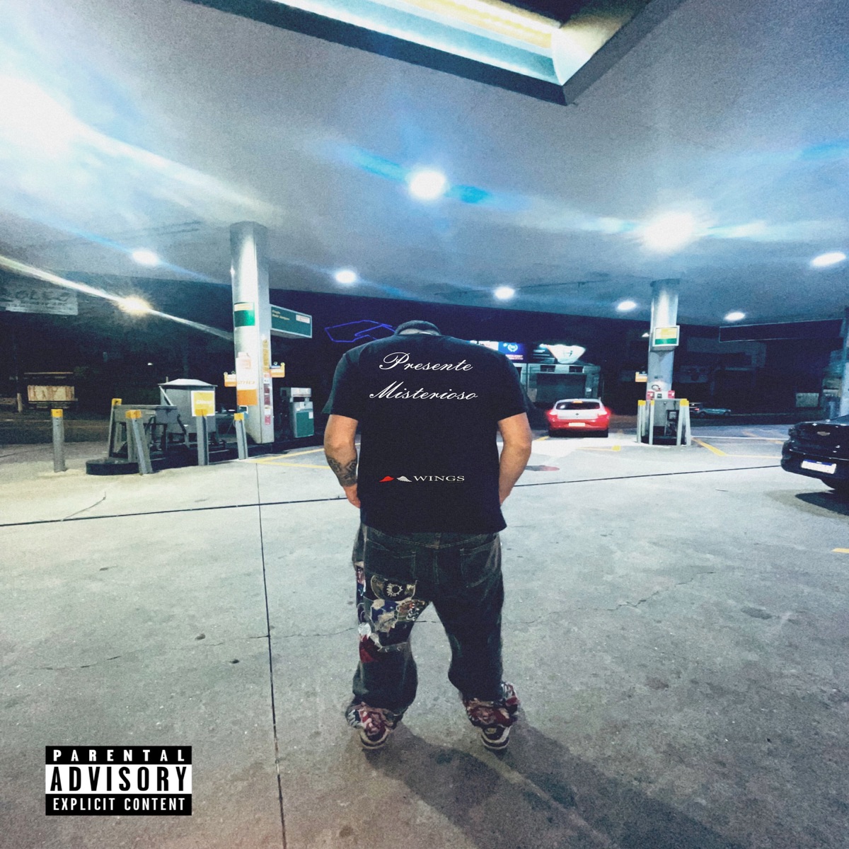Presente Misterioso - Single by Menino Davis album cover